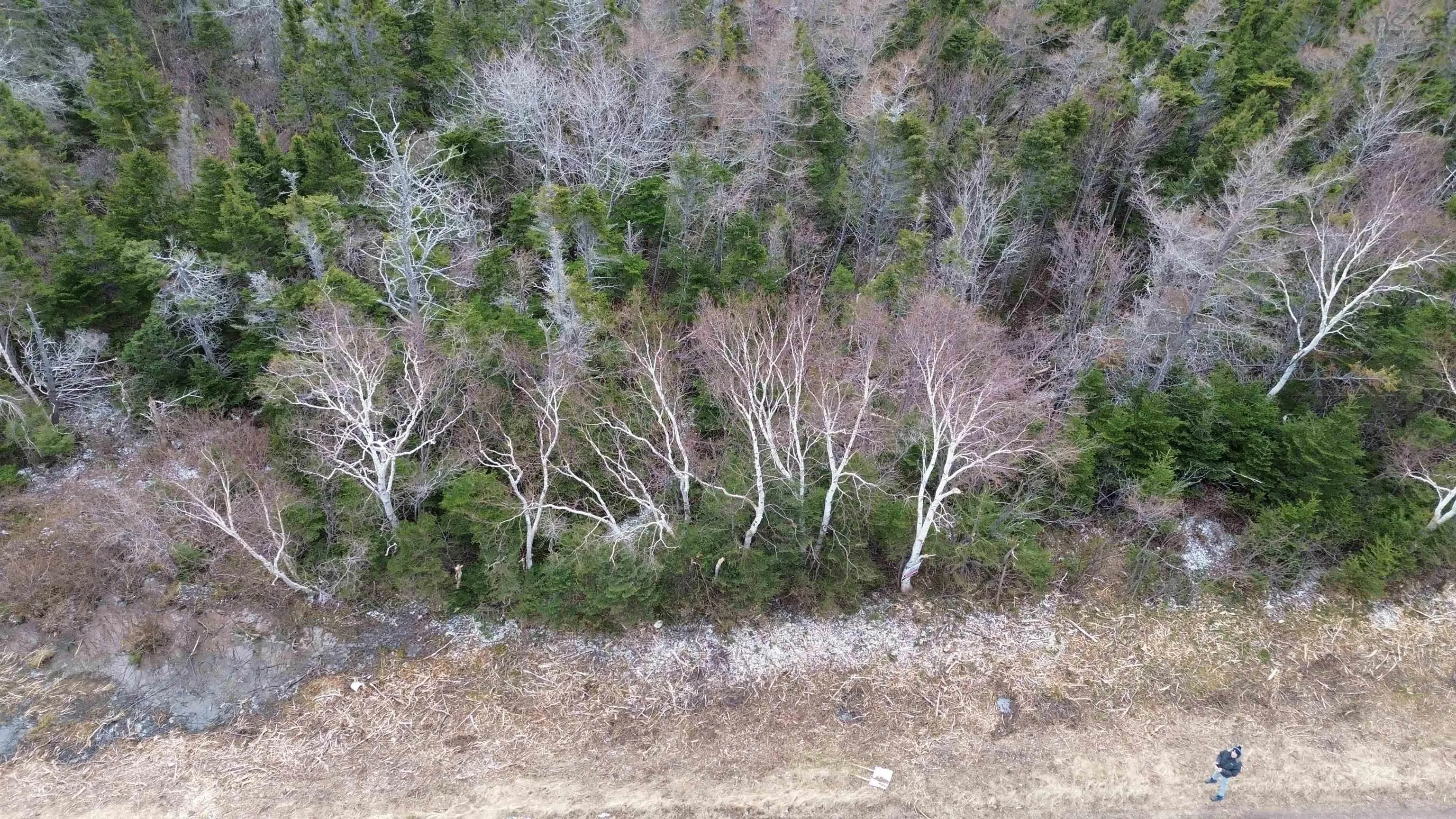 Plateau Road, Chéticamp Ns B0e 1h0, ,Land,For Sale,Plateau,202405435