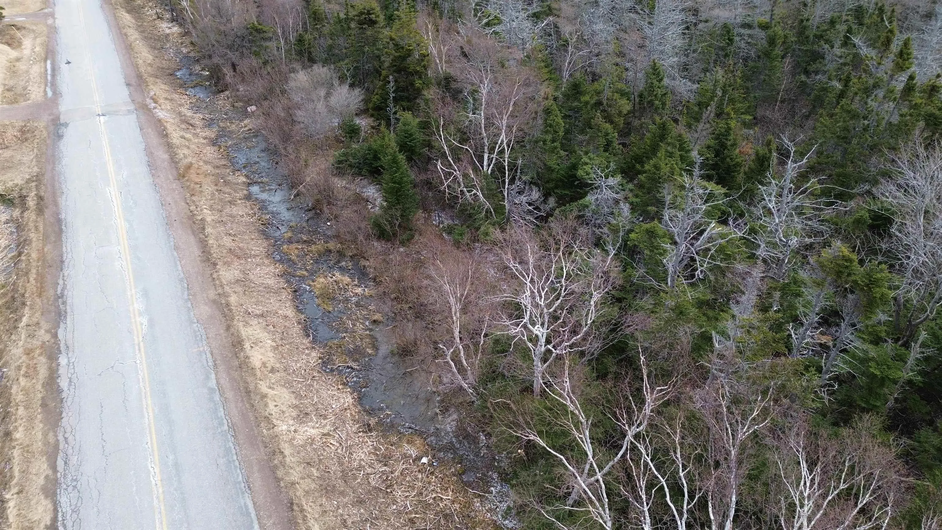Plateau Road, Chéticamp Ns B0e 1h0, ,Land,For Sale,Plateau,202405435