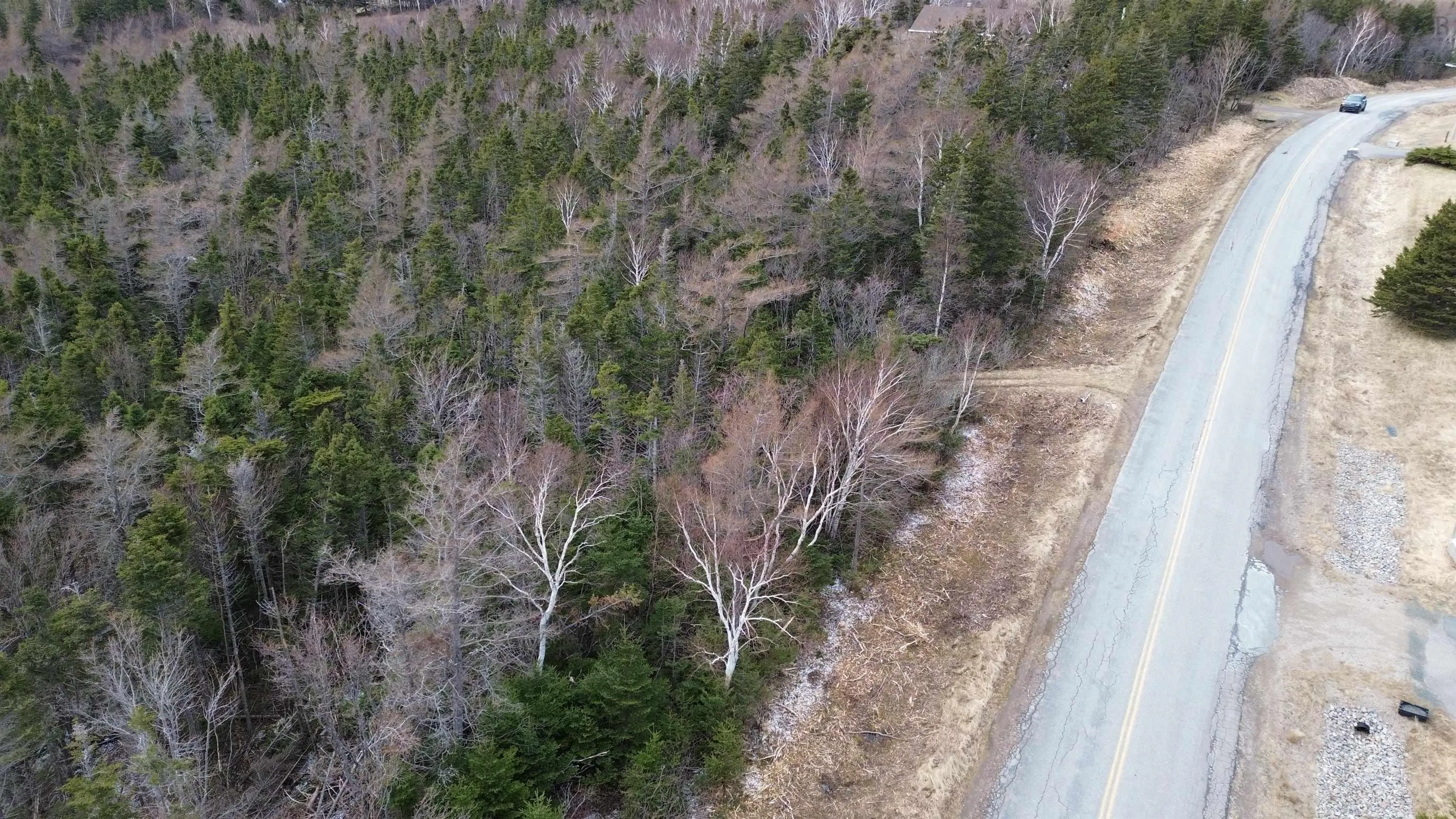 Plateau Road, Chéticamp Ns B0e 1h0, ,Land,For Sale,Plateau,202405435