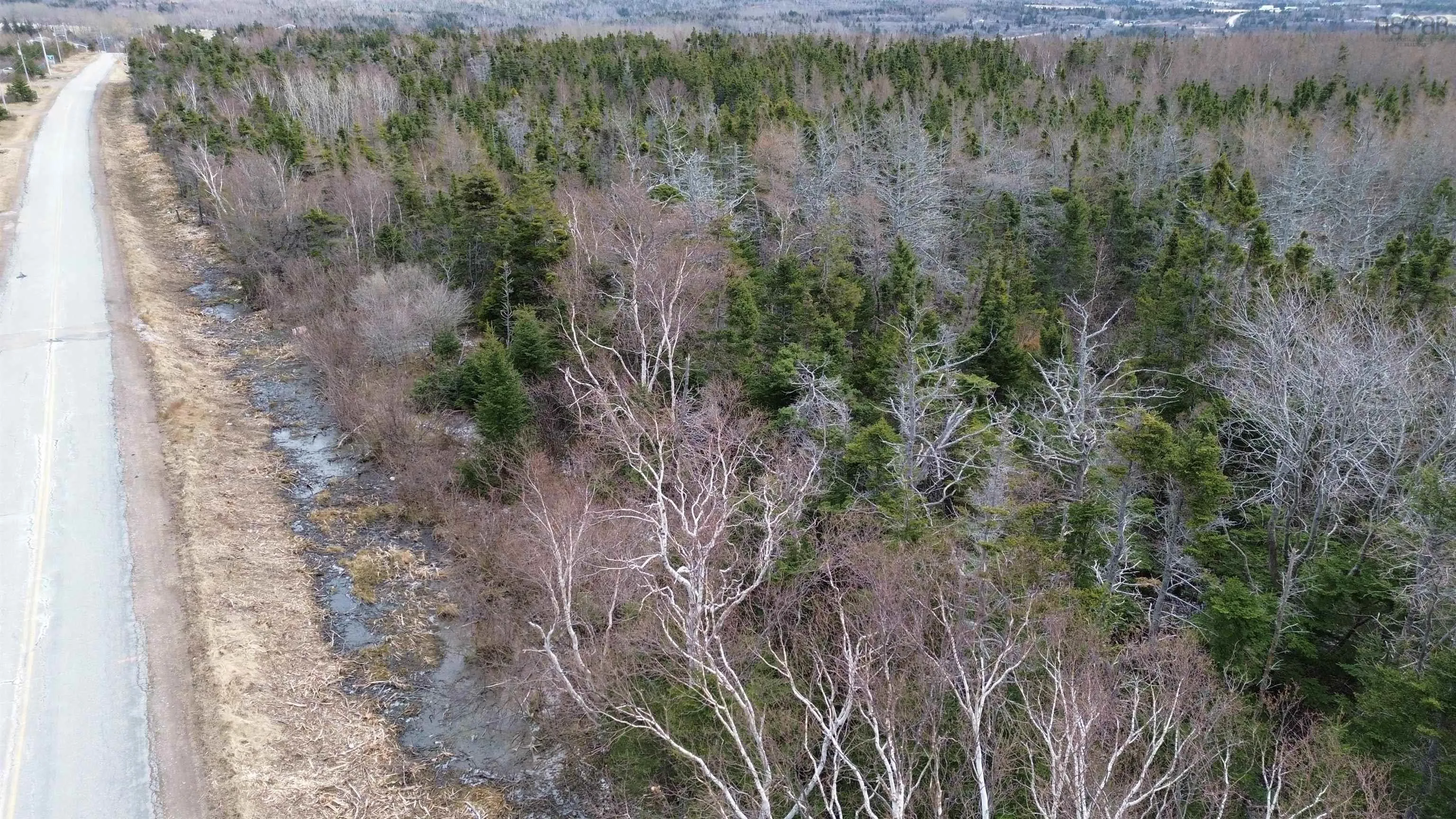 Plateau Road, Chéticamp Ns B0e 1h0, ,Land,For Sale,Plateau,202405435