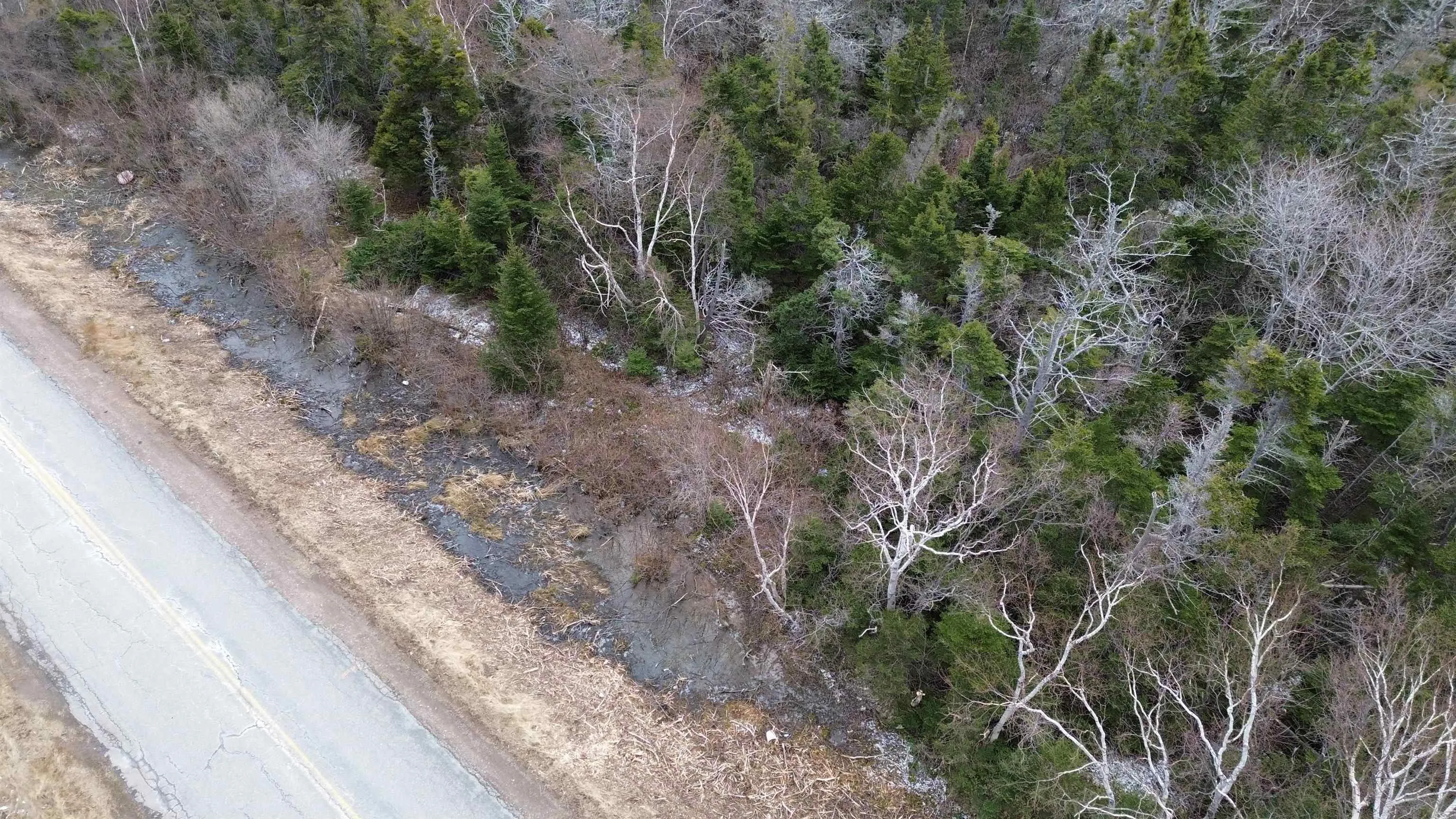 Plateau Road, Chéticamp Ns B0e 1h0, ,Land,For Sale,Plateau,202405435