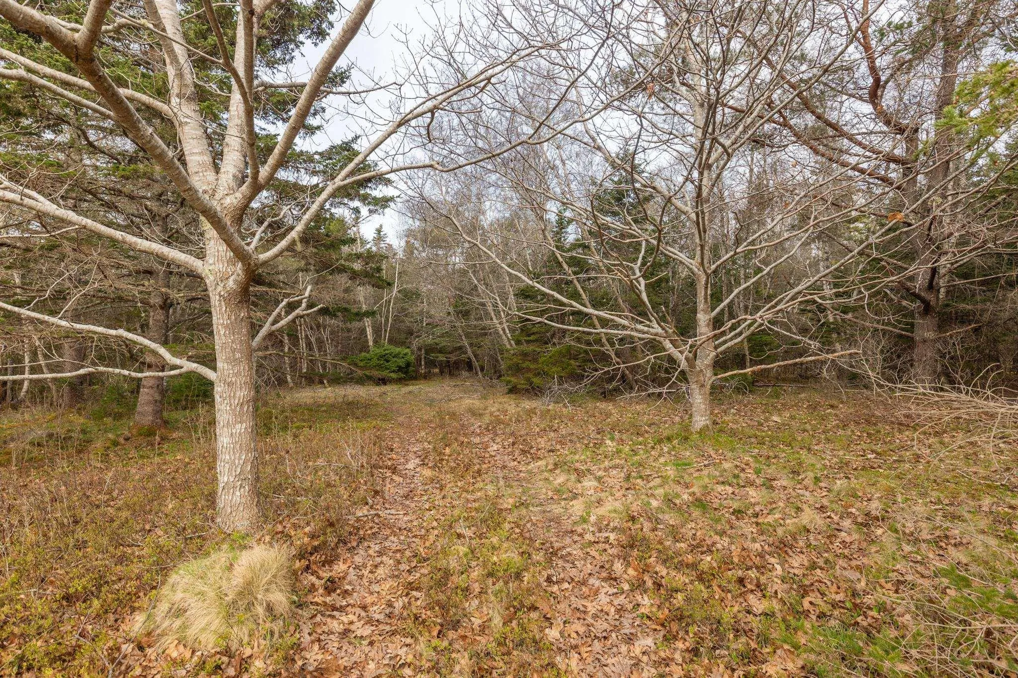 436 Rocco Point Road, Rocco Point Ns B0w 2x0, 2 Bedrooms Bedrooms, ,1 BathroomBathrooms,Residential,For Sale,Rocco Point,202510613