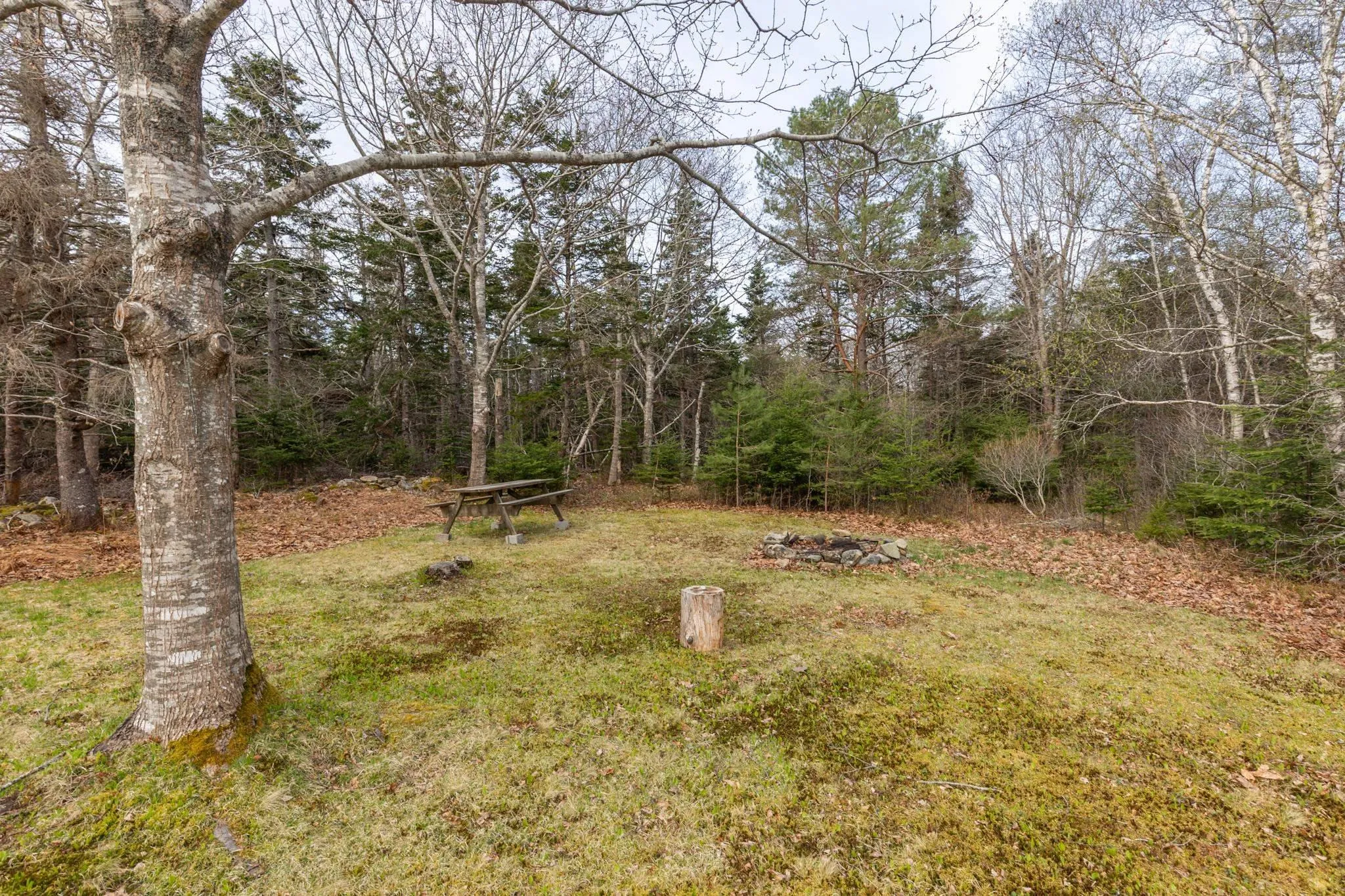 436 Rocco Point Road, Rocco Point Ns B0w 2x0, 2 Bedrooms Bedrooms, ,1 BathroomBathrooms,Residential,For Sale,Rocco Point,202510613