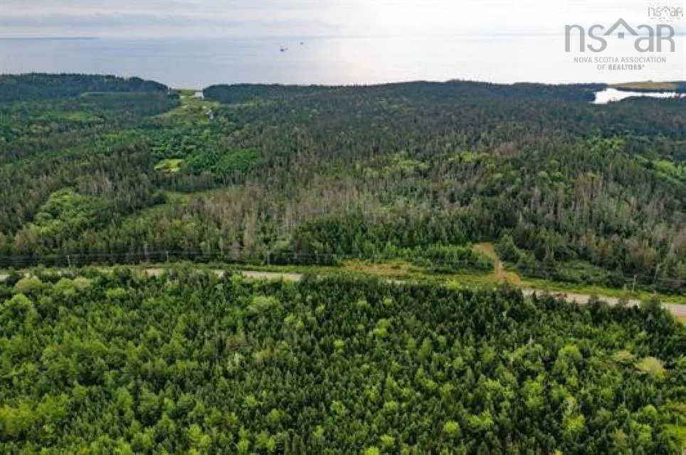 Lot Highway 344, Hadleyville Ns B0e 2g0, ,Land,For Sale,Highway 344,202510592