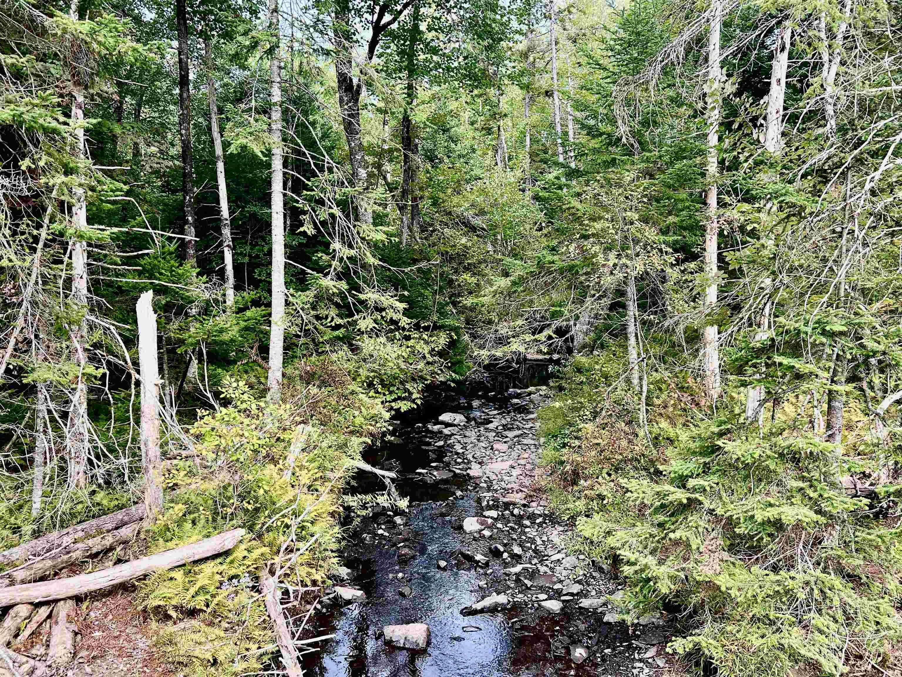 Greenfield Road Lot 6, Greenfield, NS B0P 1X0, ,Land,For Sale,Greenfield,202523234