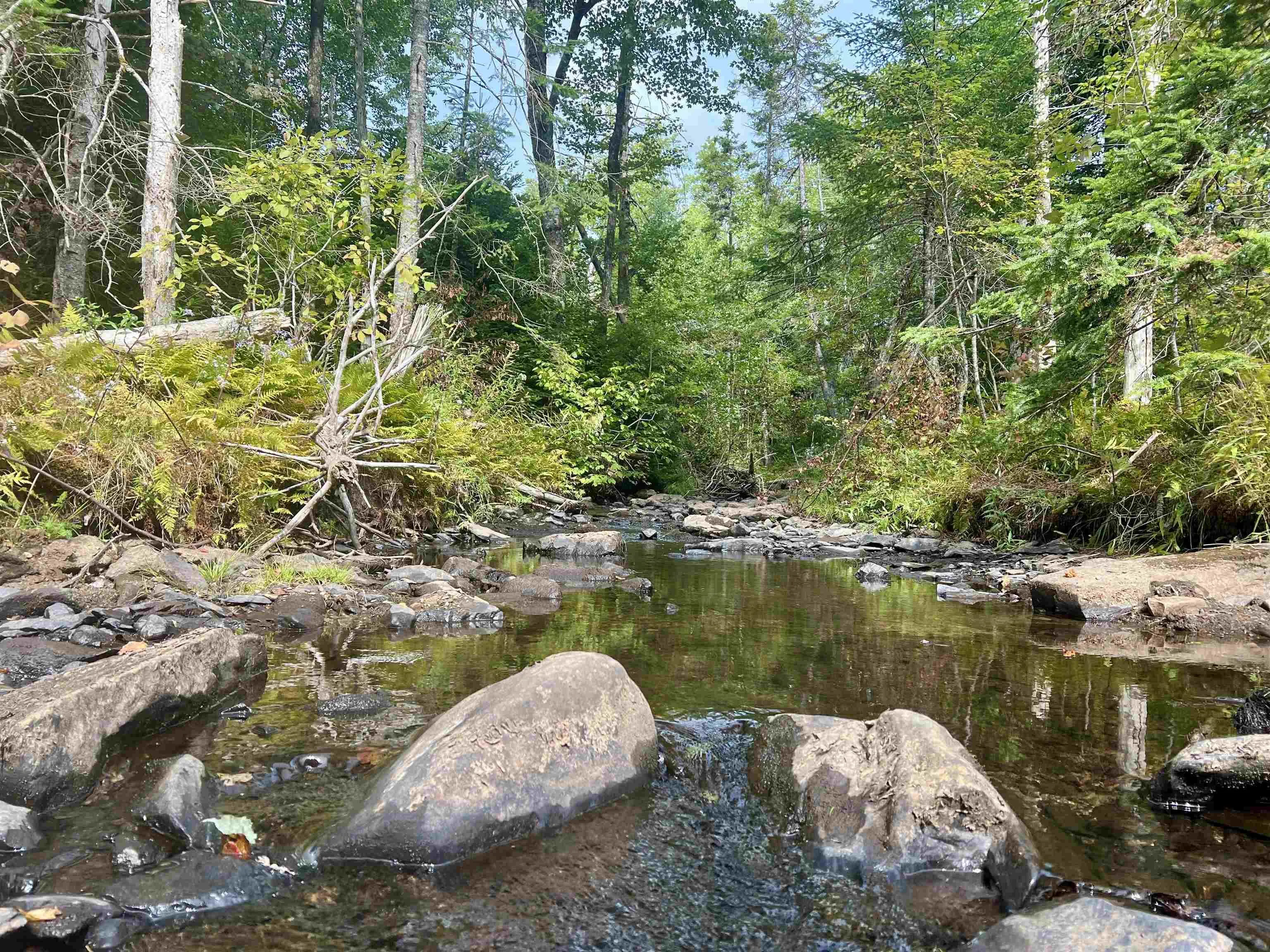 Greenfield Road Lot 6, Greenfield, NS B0P 1X0, ,Land,For Sale,Greenfield,202523234