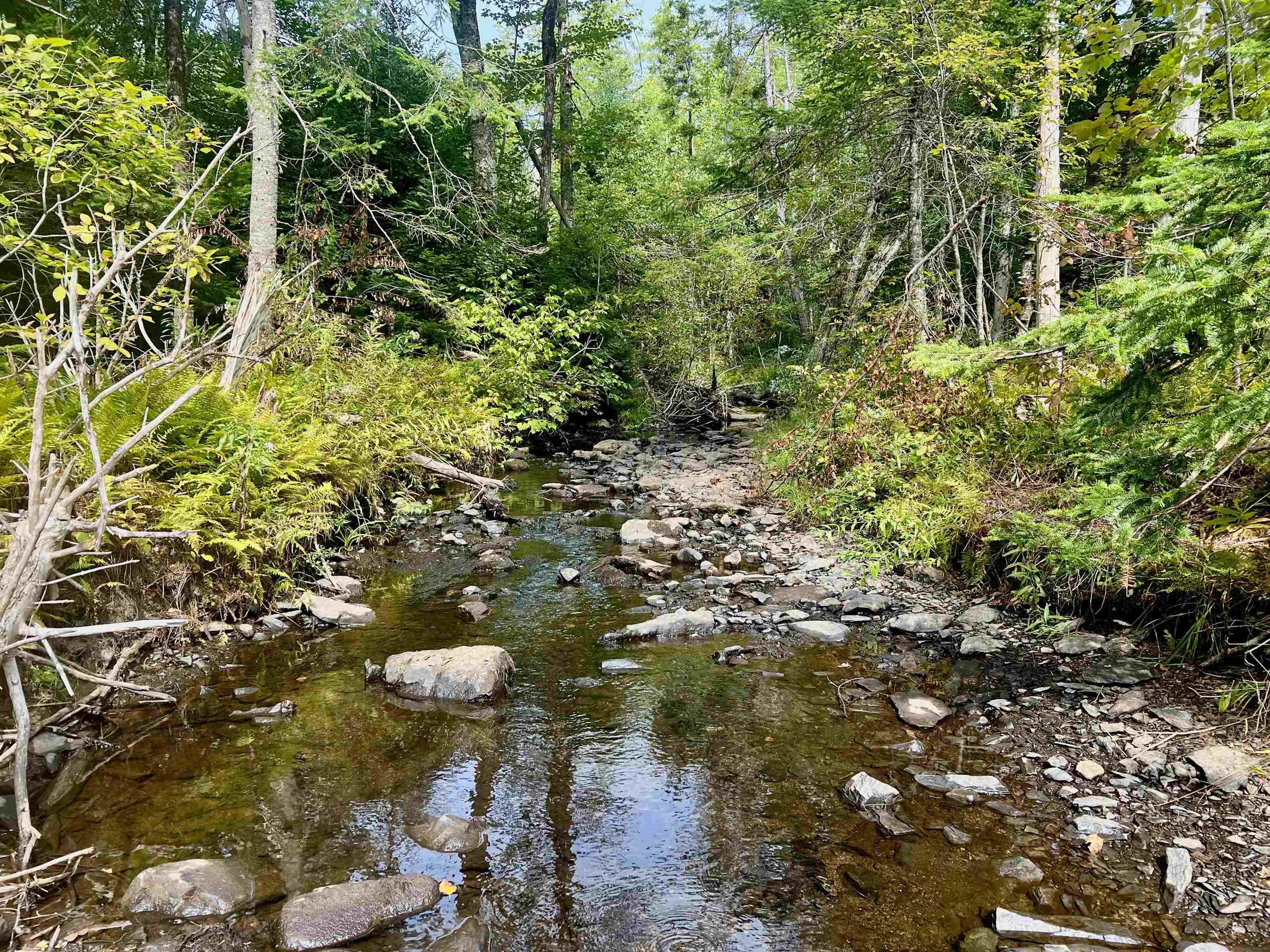Greenfield Road Lot 6, Greenfield, NS B0P 1X0, ,Land,For Sale,Greenfield,202523234