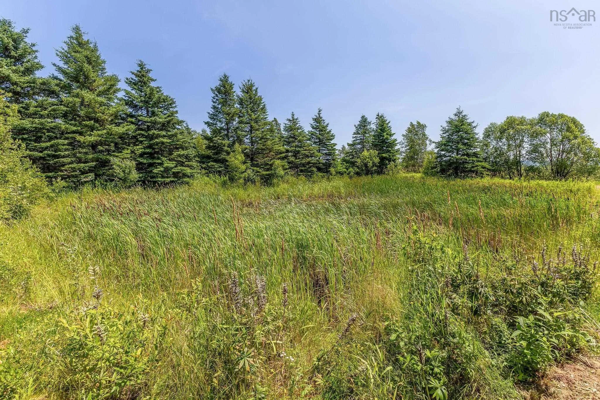 4776 Highway 4, Greenhill Ns B0k 2a0, 3 Bedrooms Bedrooms, ,3 BathroomsBathrooms,Residential,For Sale,Highway 4,202505405