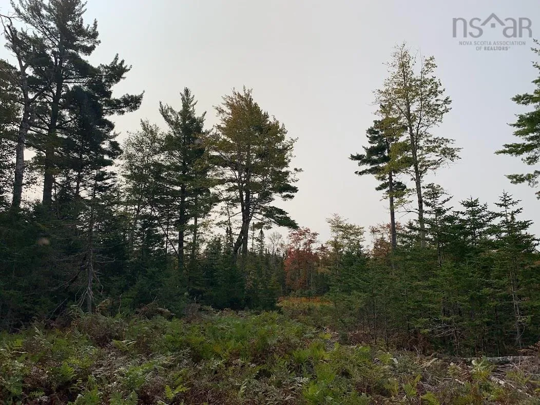 Pleasant River Preserve Lot 5, Pleasant River Ns B0t 1x0, ,Land,For Sale,Pleasant River Preserve,202418576