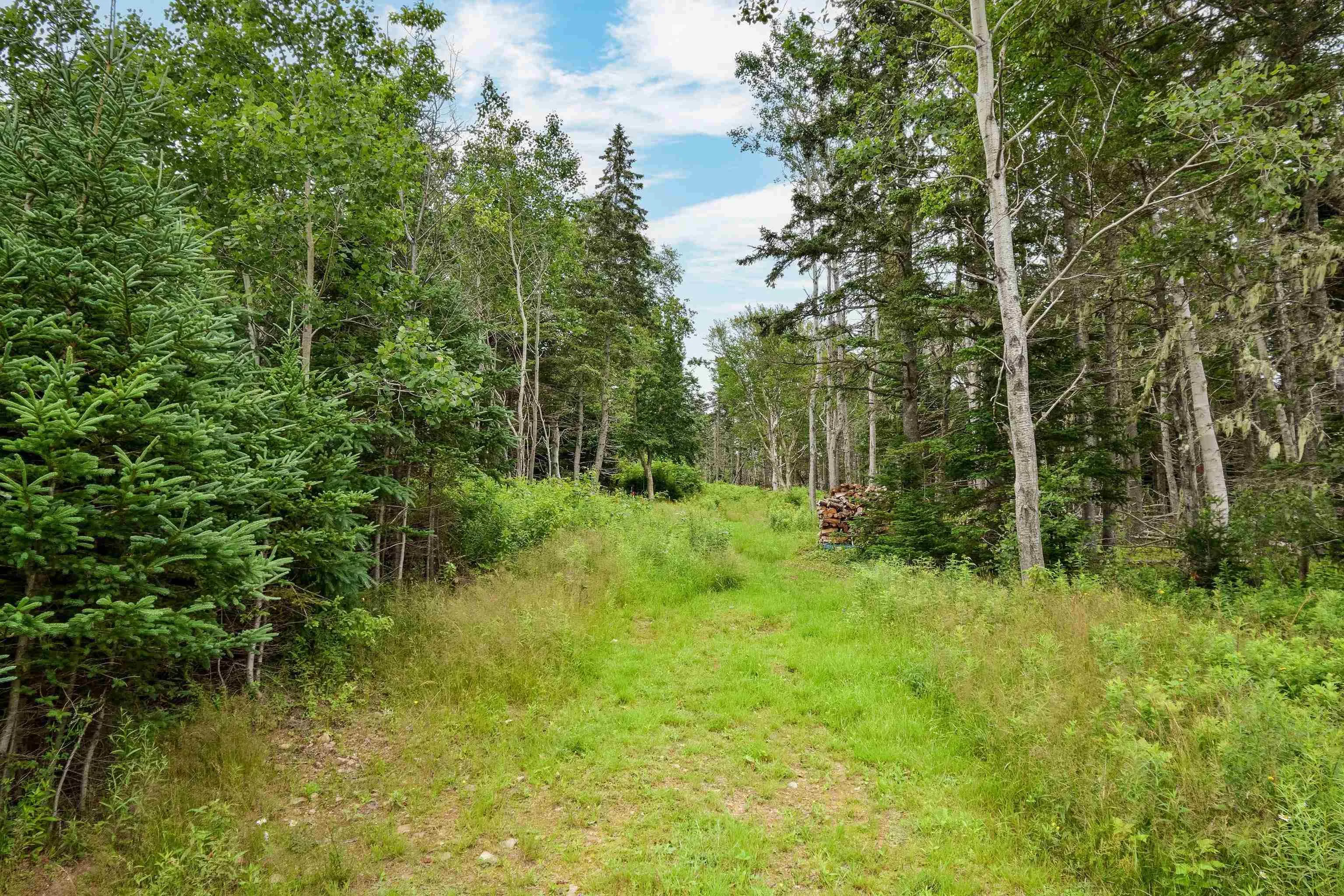 785 105 Highway, Boularderie East, NS B1X 1J6, ,Commercial Sale,For Sale,105,202521230