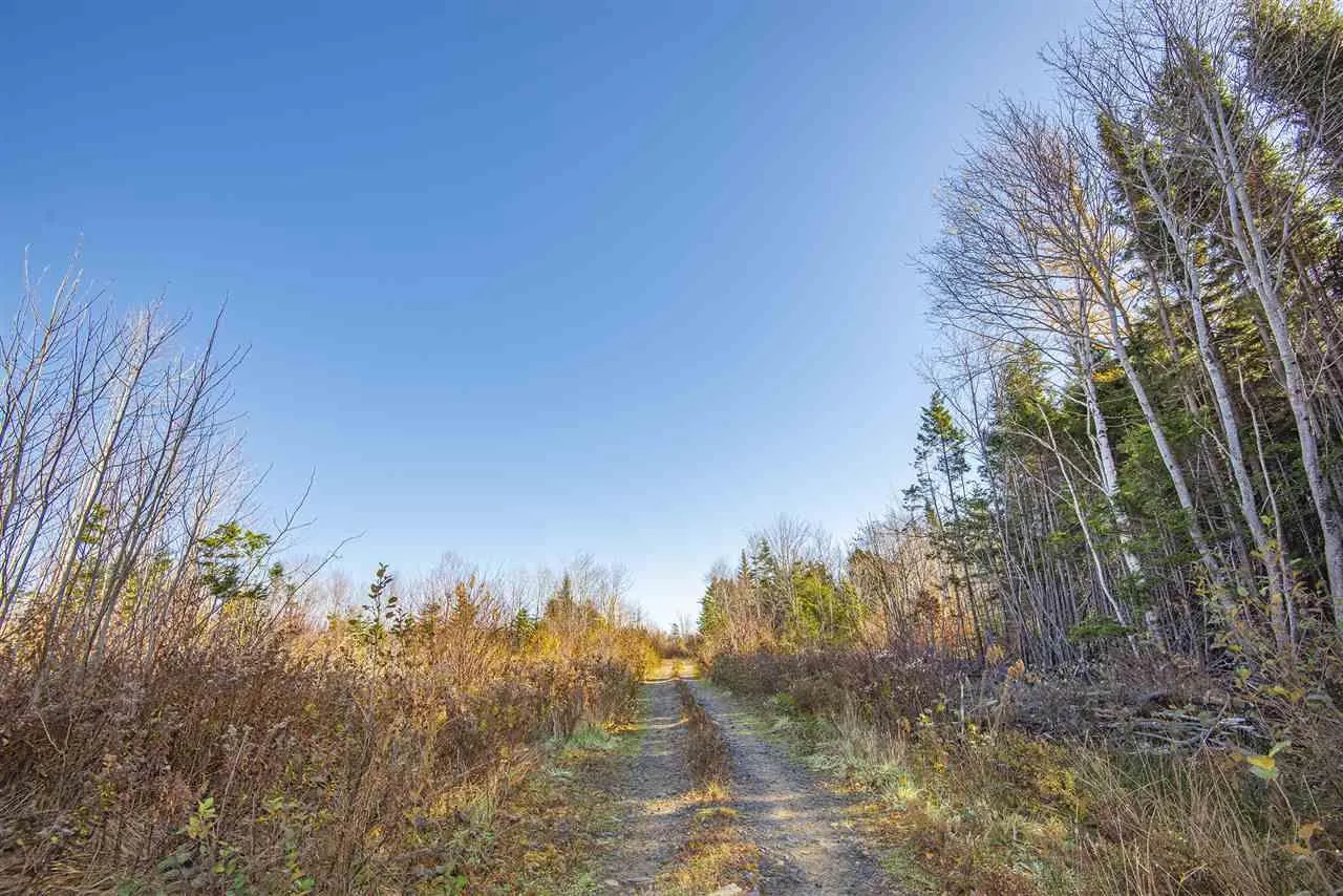 Sissiboo Road, Weymouth Mills Ns B0w 3t0, ,Land,For Sale,Sissiboo,202408423