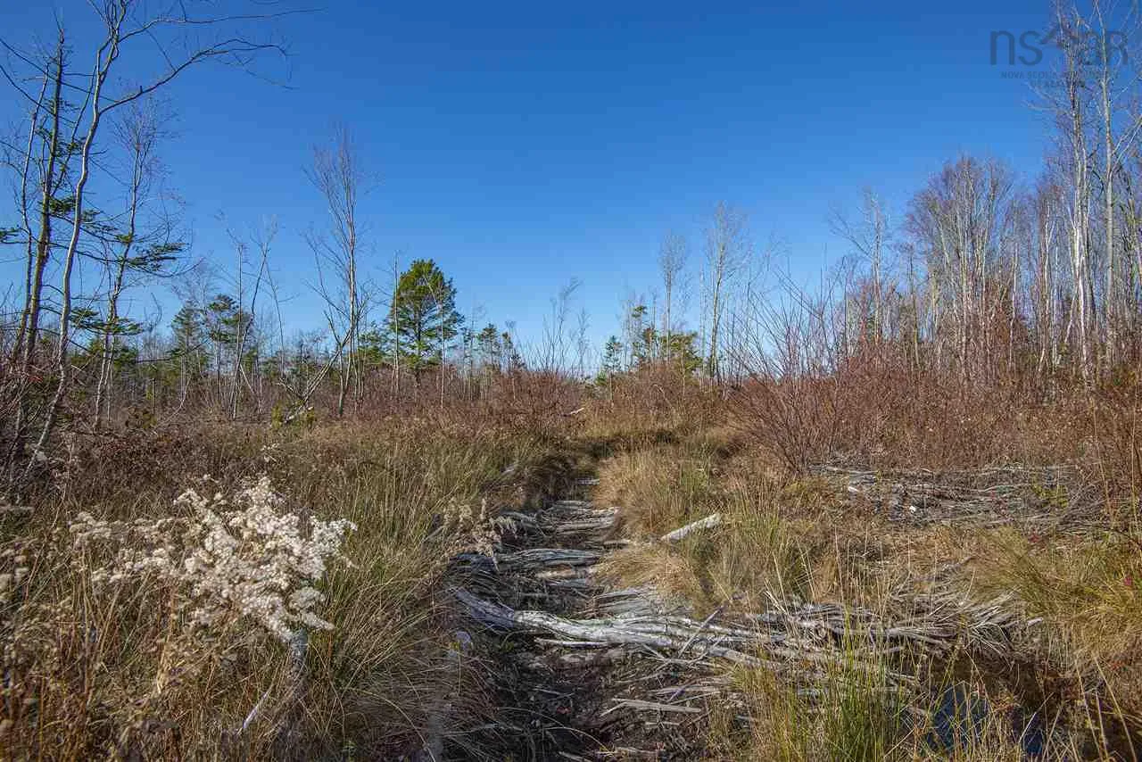 Sissiboo Road, Weymouth Mills Ns B0w 3t0, ,Land,For Sale,Sissiboo,202408423