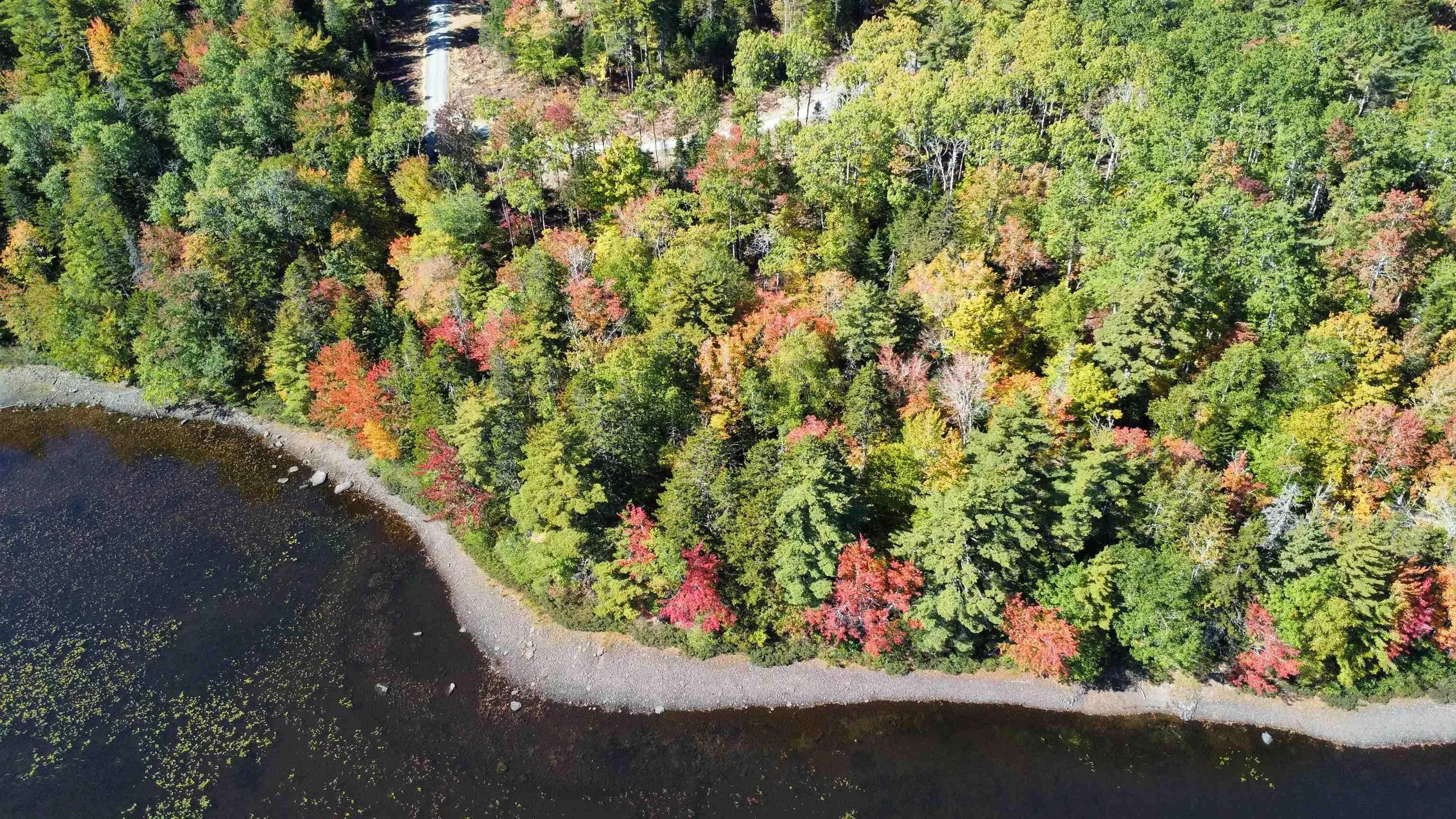 Highway 325 Lot 23, West Clifford, NS B4V 8H3, ,Land,For Sale,Highway 325,202524867