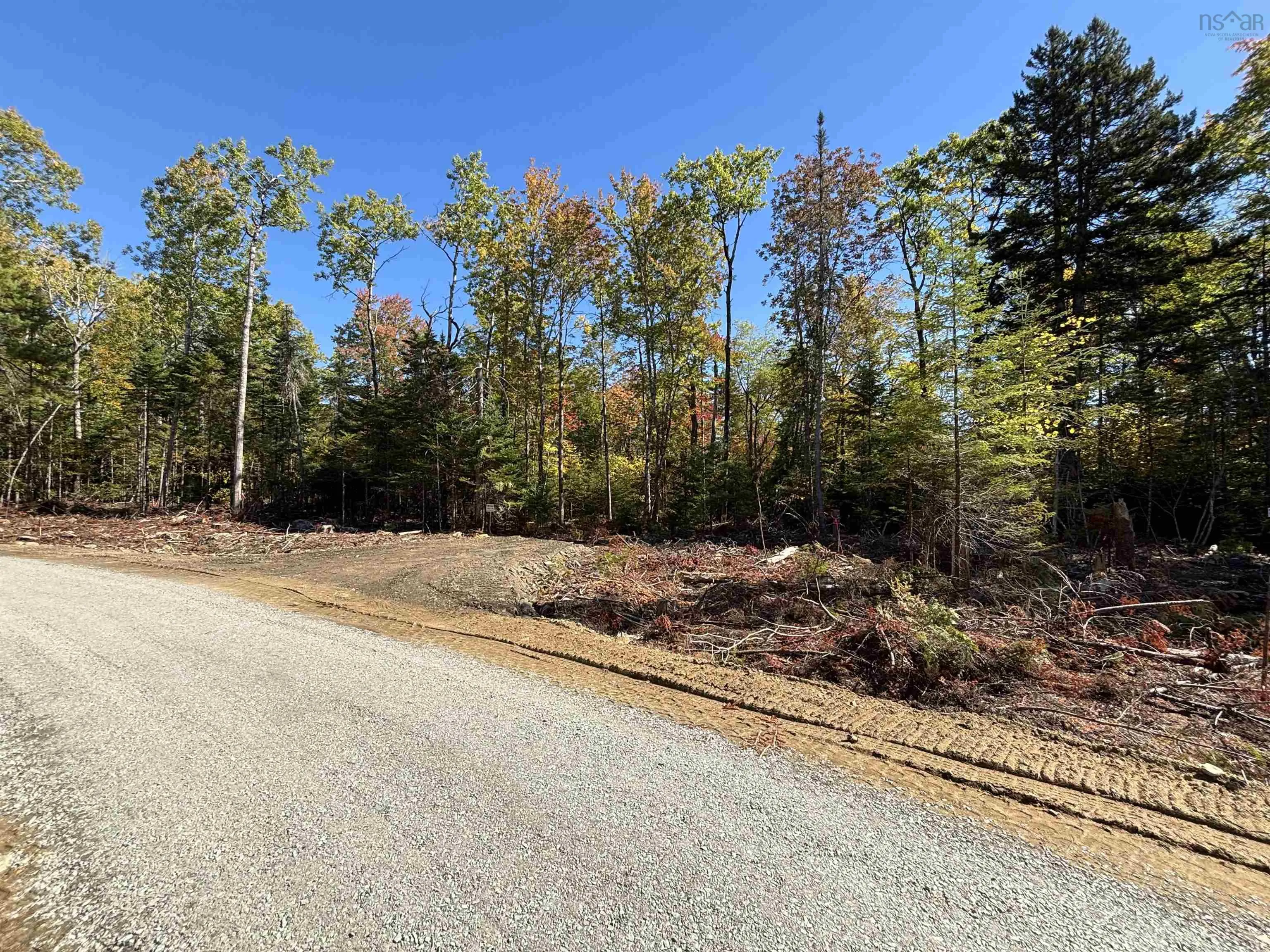Highway 325 Lot 23, West Clifford, NS B4V 8H3, ,Land,For Sale,Highway 325,202524867
