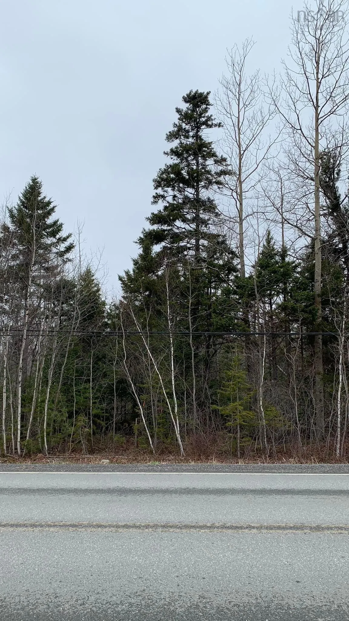24-3 Little Harbour Road, Frasers Mountain, NS B2H 3T5, ,Land,For Sale,Little Harbour,202518272