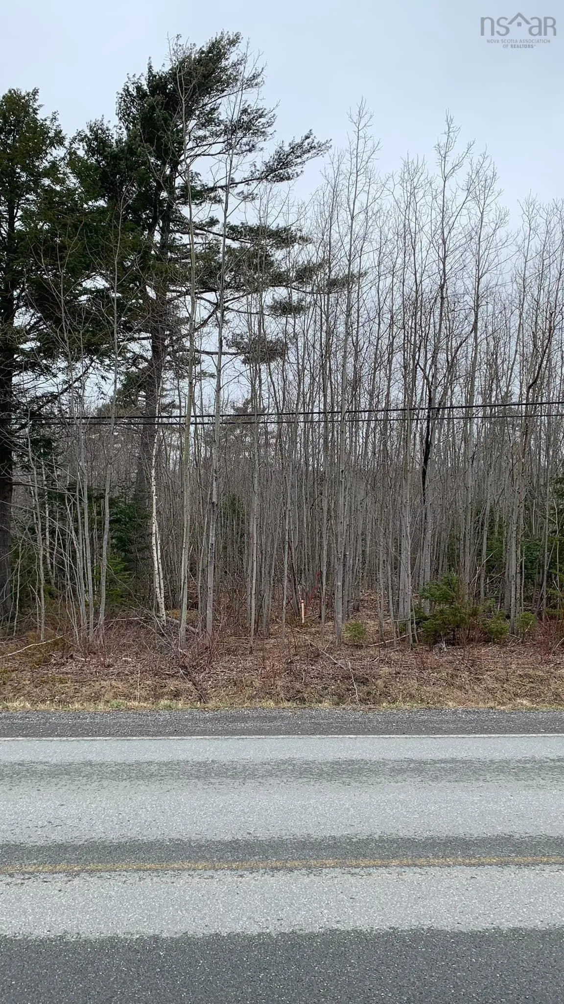 24-3 Little Harbour Road, Frasers Mountain, NS B2H 3T5, ,Land,For Sale,Little Harbour,202518272