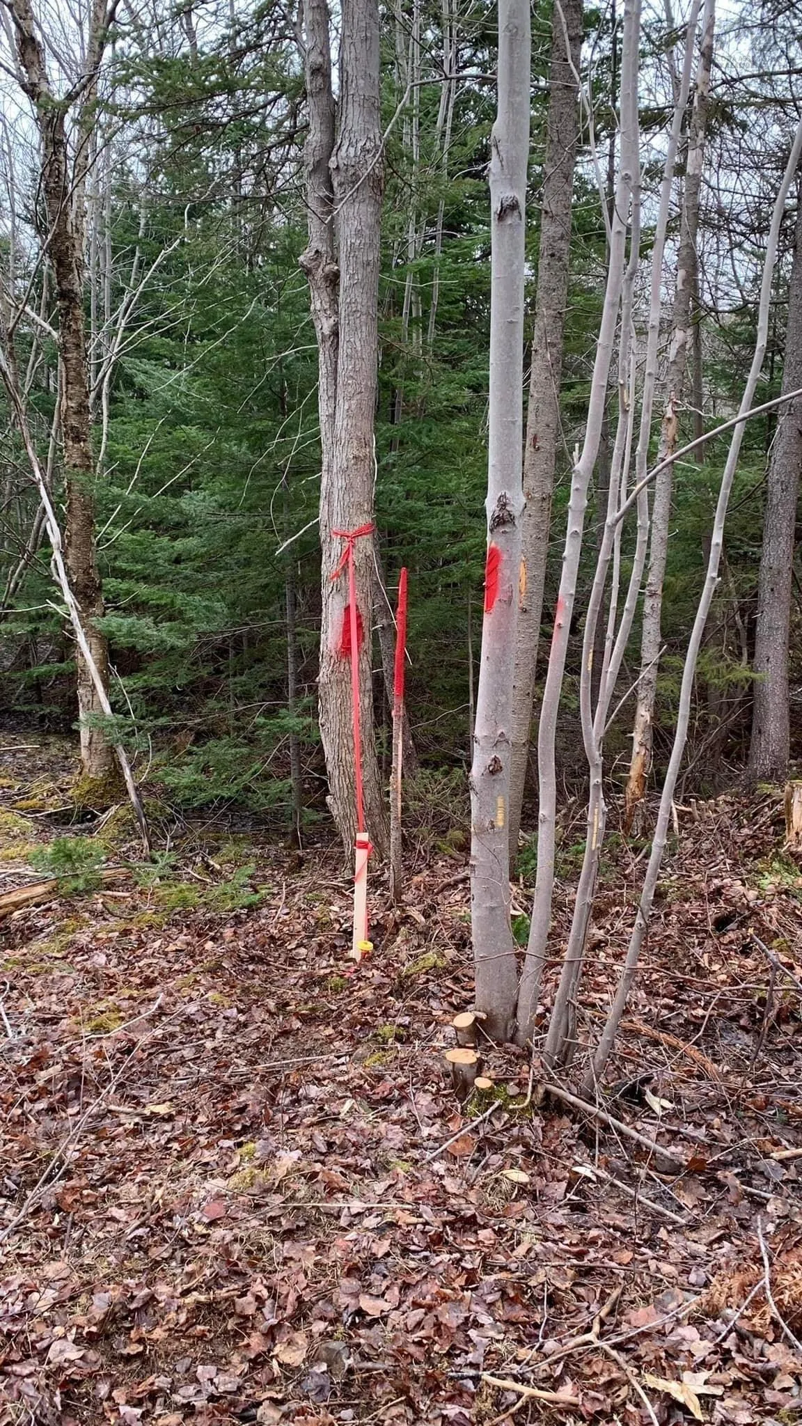 24-3 Little Harbour Road, Frasers Mountain, NS B2H 3T5, ,Land,For Sale,Little Harbour,202518272