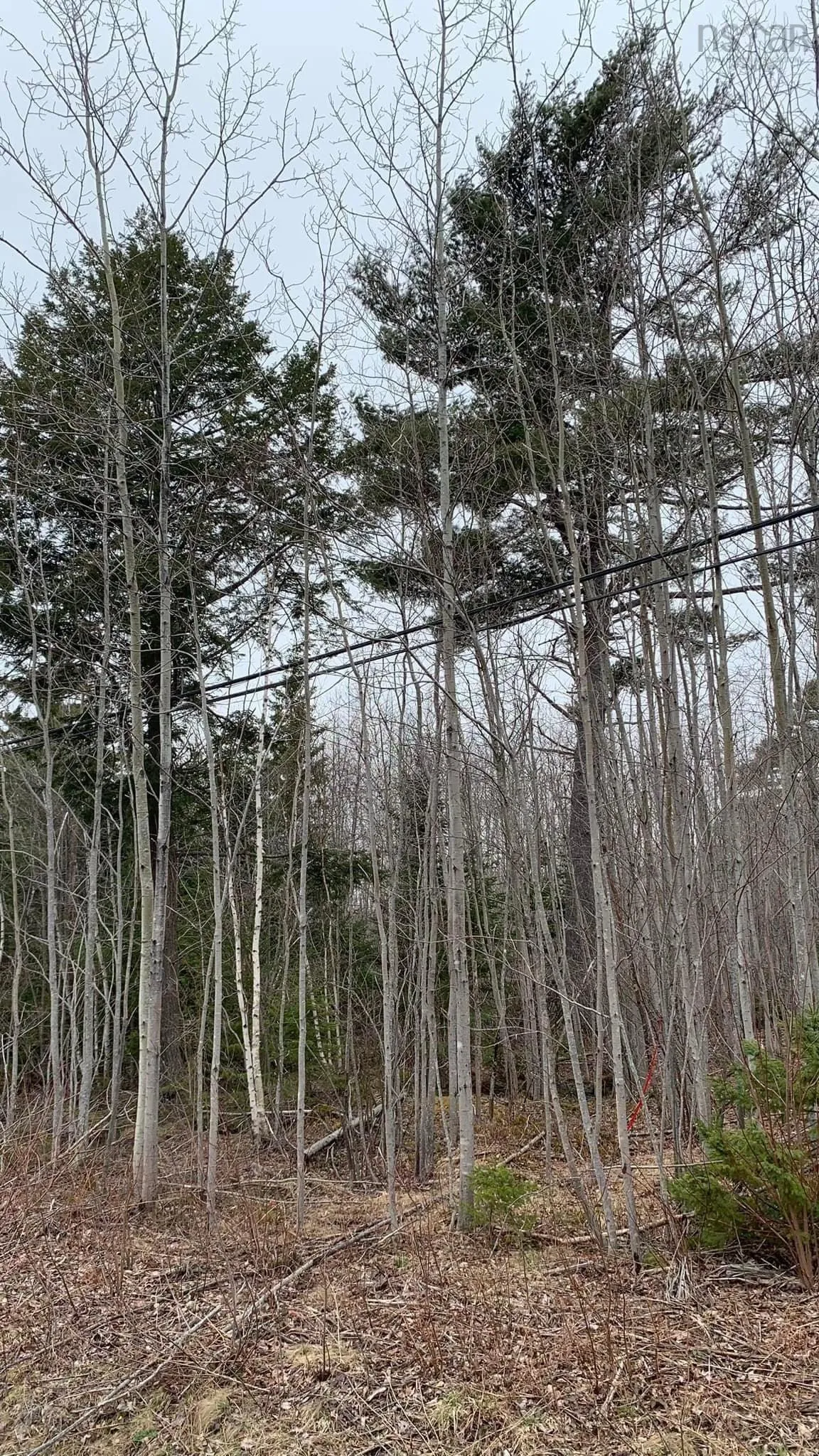 24-3 Little Harbour Road, Frasers Mountain, NS B2H 3T5, ,Land,For Sale,Little Harbour,202518272
