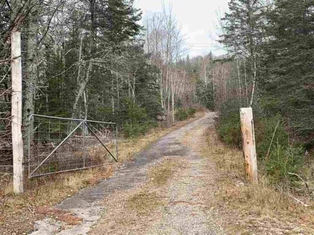 16308 Hwy 316, Country Harbour Mines Ns B0h 1j0, ,Land,For Sale,Hwy 316,202500527