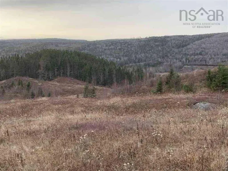 16308 Hwy 316, Country Harbour Mines Ns B0h 1j0, ,Land,For Sale,Hwy 316,202500527