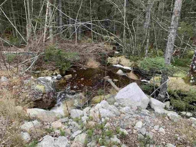 16308 Hwy 316, Country Harbour Mines Ns B0h 1j0, ,Land,For Sale,Hwy 316,202500527