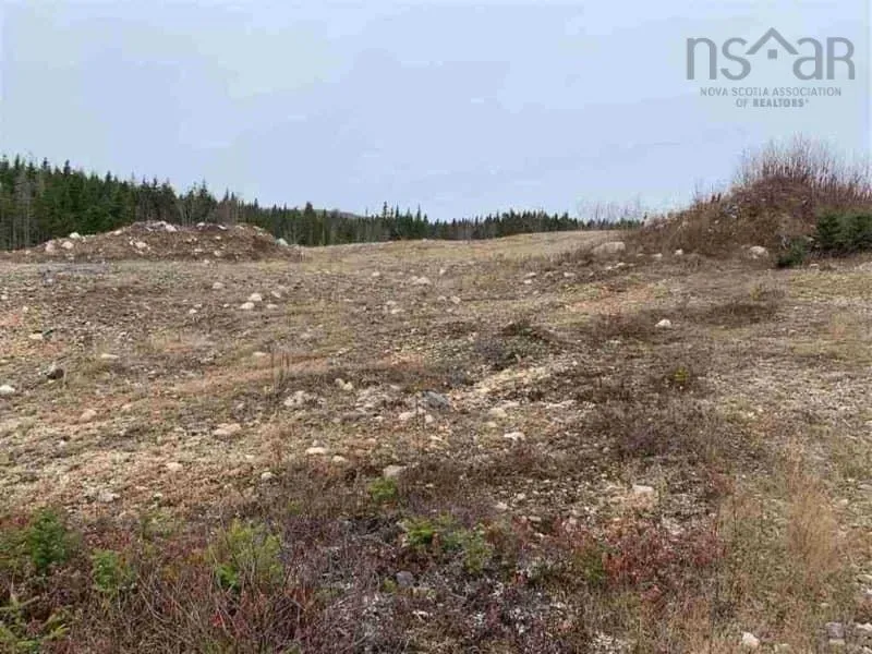 16308 Hwy 316, Country Harbour Mines Ns B0h 1j0, ,Land,For Sale,Hwy 316,202500527