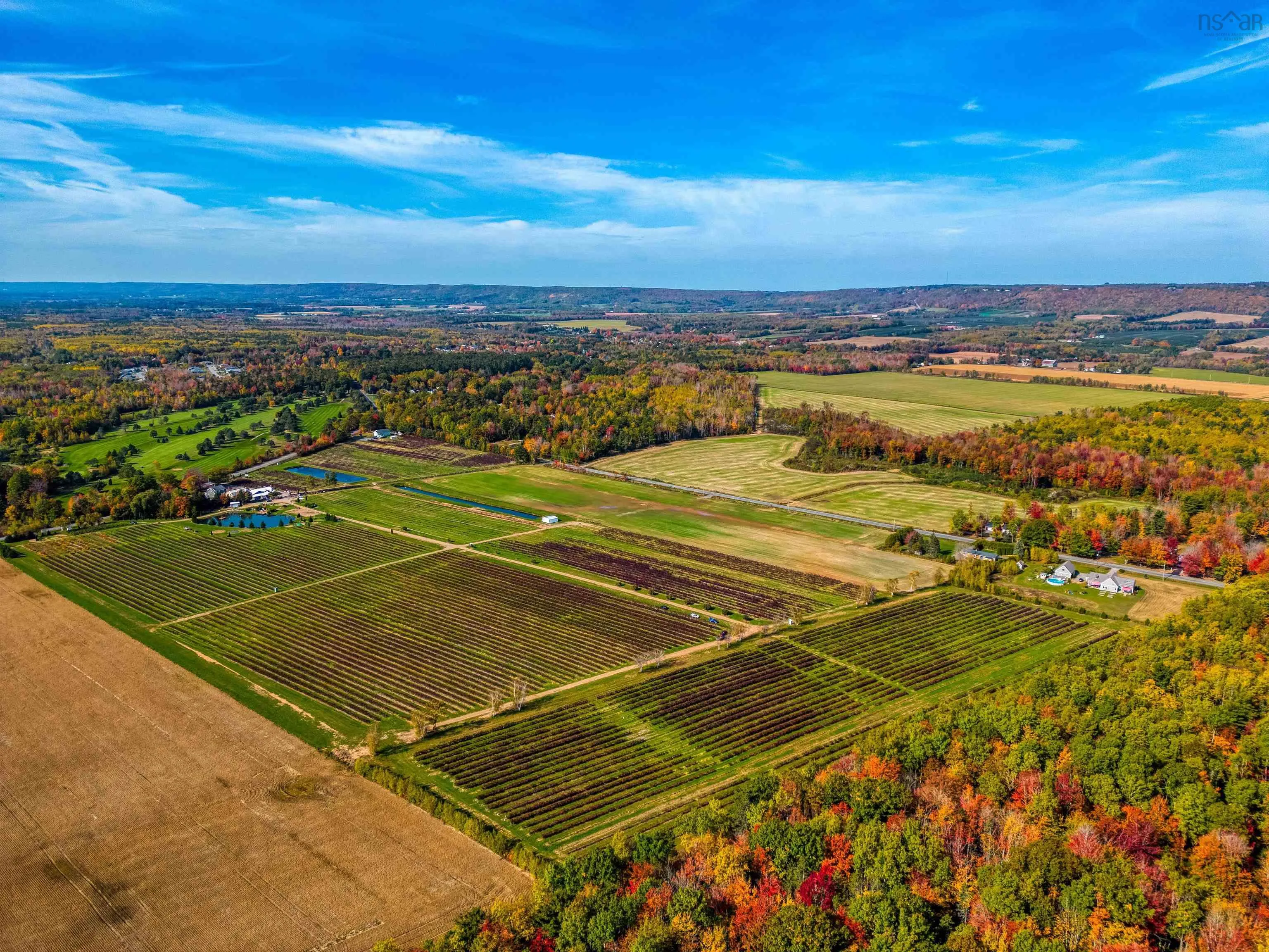 1279 Sherman Belcher Road, Centreville Ns B0p 1j0, 2 Bedrooms Bedrooms, ,2 BathroomsBathrooms,Farm,For Sale,Sherman Belcher,202224317