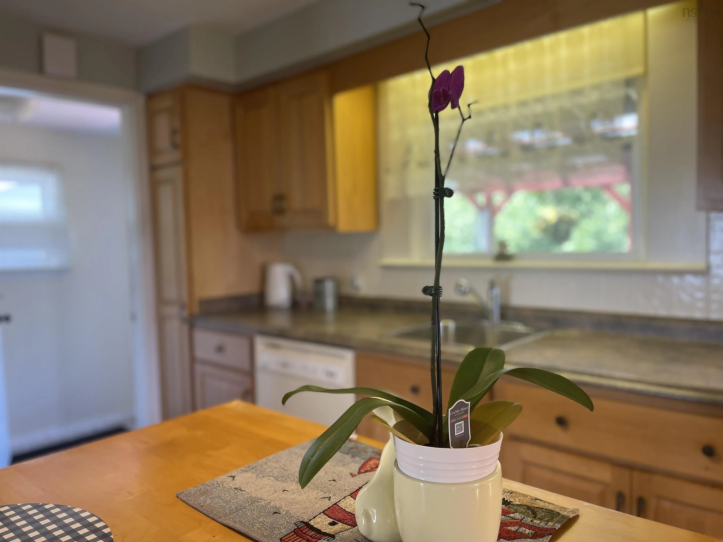 5047 East River East Side Road, Plymouth, NS B2H 5C5, 3 Bedrooms Bedrooms, ,1 BathroomBathrooms,Residential,For Sale,East River East Side,202518854