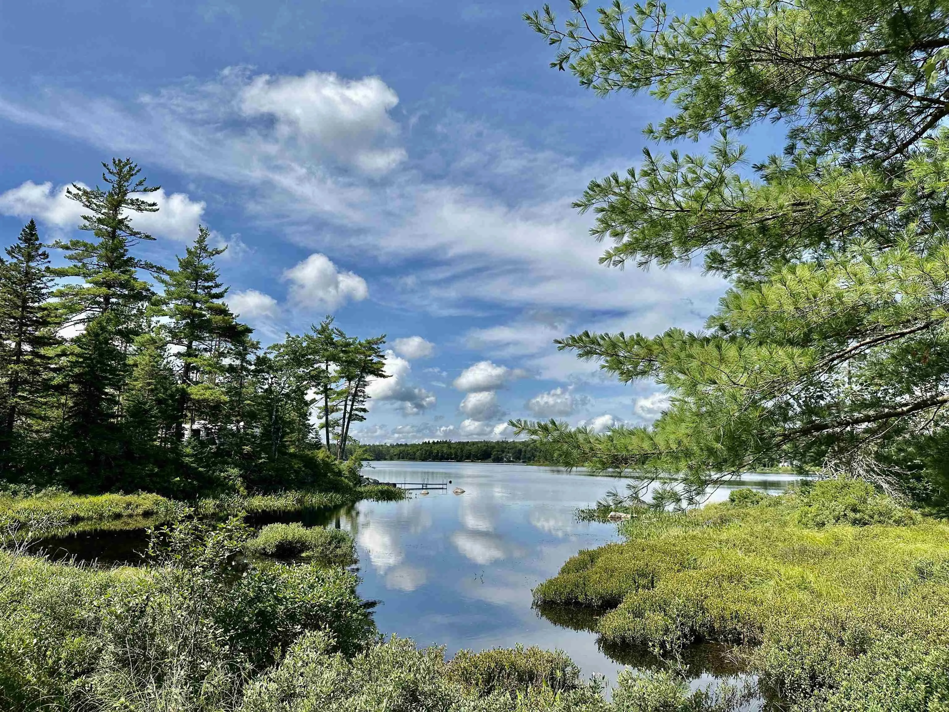 Dynasty Court Lot 32, Sherwood Ns B0j 1j0, ,Land,For Sale,Dynasty,202509834