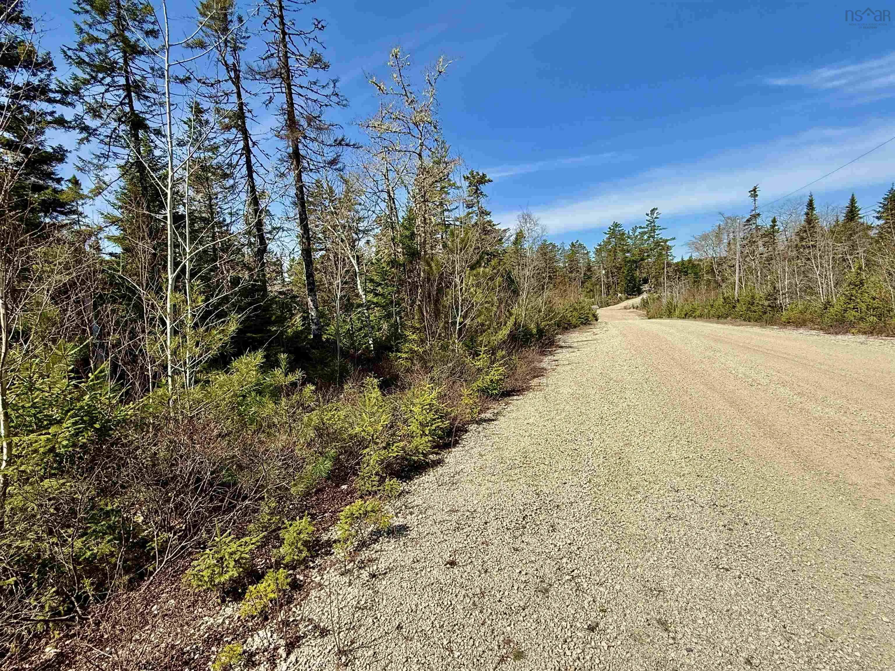 Dynasty Court Lot 32, Sherwood Ns B0j 1j0, ,Land,For Sale,Dynasty,202509834