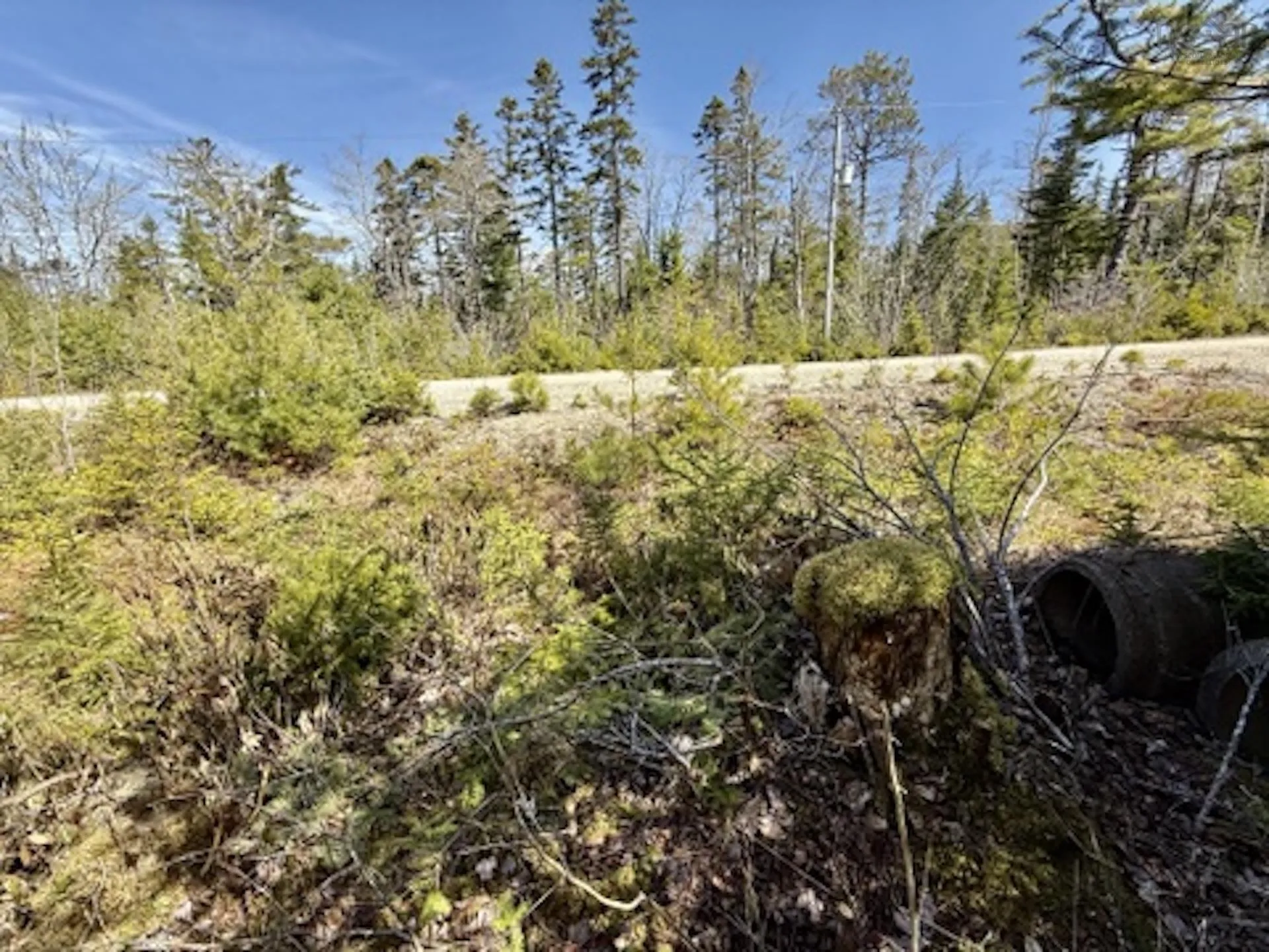 Dynasty Court Lot 32, Sherwood Ns B0j 1j0, ,Land,For Sale,Dynasty,202509834