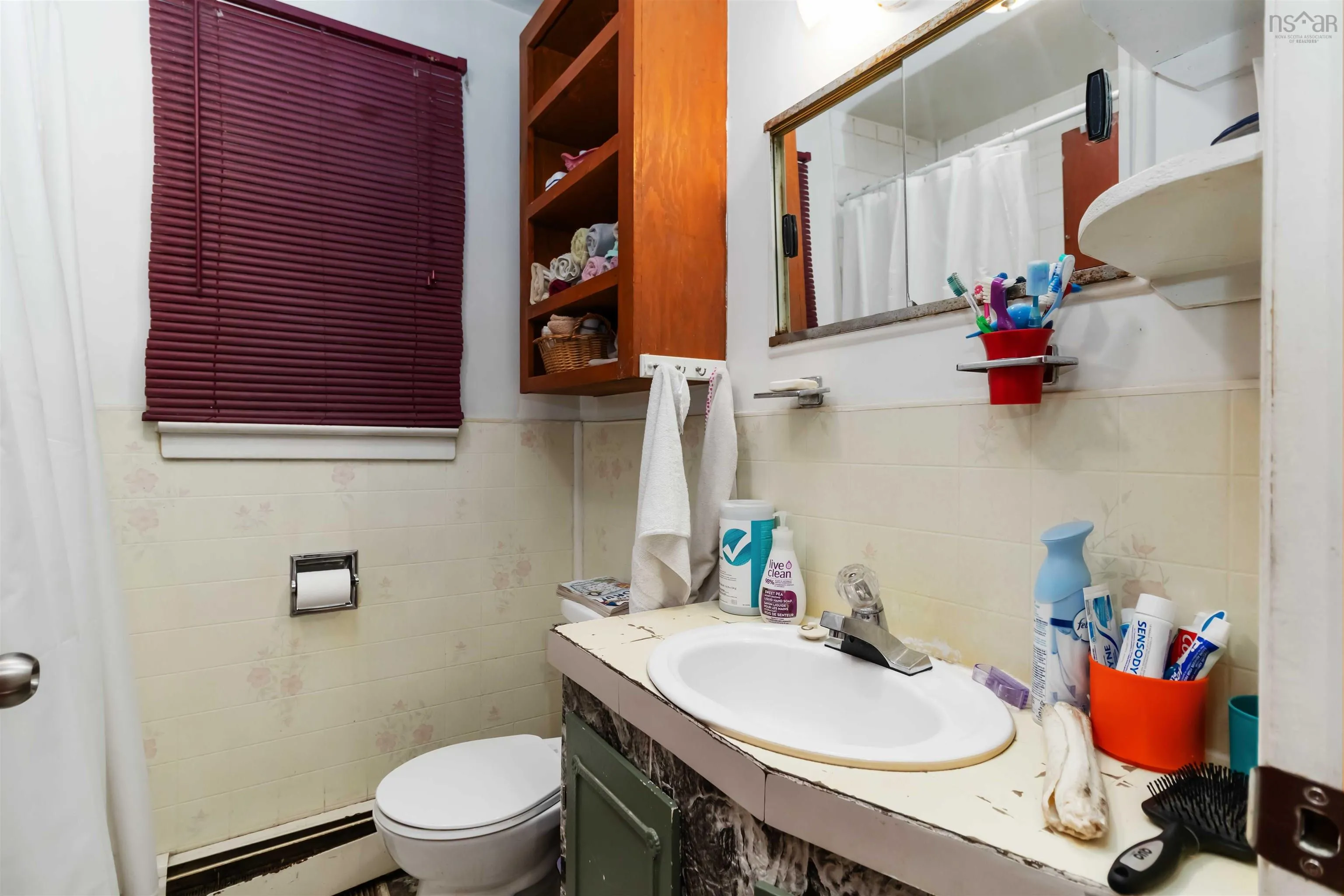 24 Levis Street, Halifax, NS B3R 1L9, 3 Bedrooms Bedrooms, ,1 BathroomBathrooms,Residential,For Sale,Levis,202519325