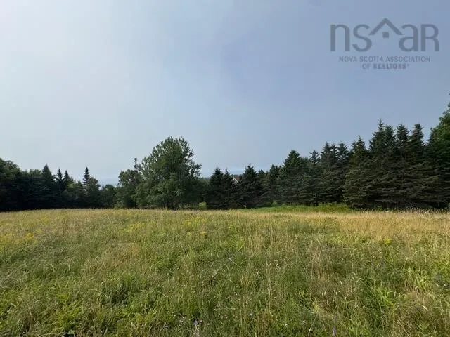 Lot 4a Blue Rocks Road, Lunenburg, NS B0J 2C0, ,Land,For Sale,Blue Rocks,202519757