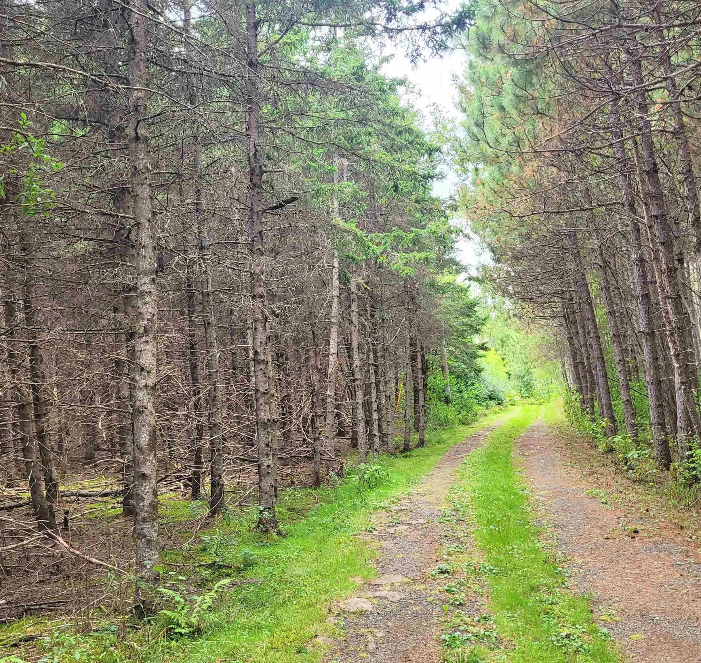 432 Stewart Road, Pugwash River, NS B0K 1L0, 2 Bedrooms Bedrooms, ,1 BathroomBathrooms,Residential,For Sale,Stewart,202510897