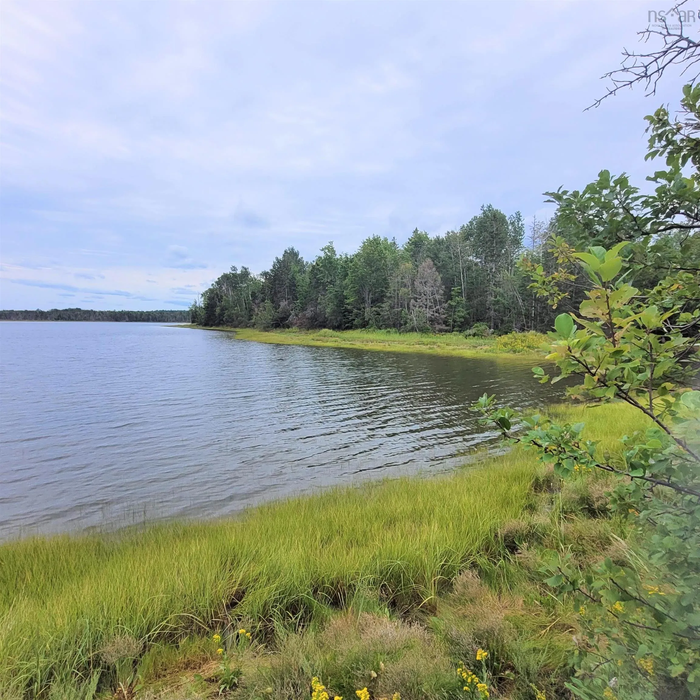 432 Stewart Road, Pugwash River, NS B0K 1L0, 2 Bedrooms Bedrooms, ,1 BathroomBathrooms,Residential,For Sale,Stewart,202510897