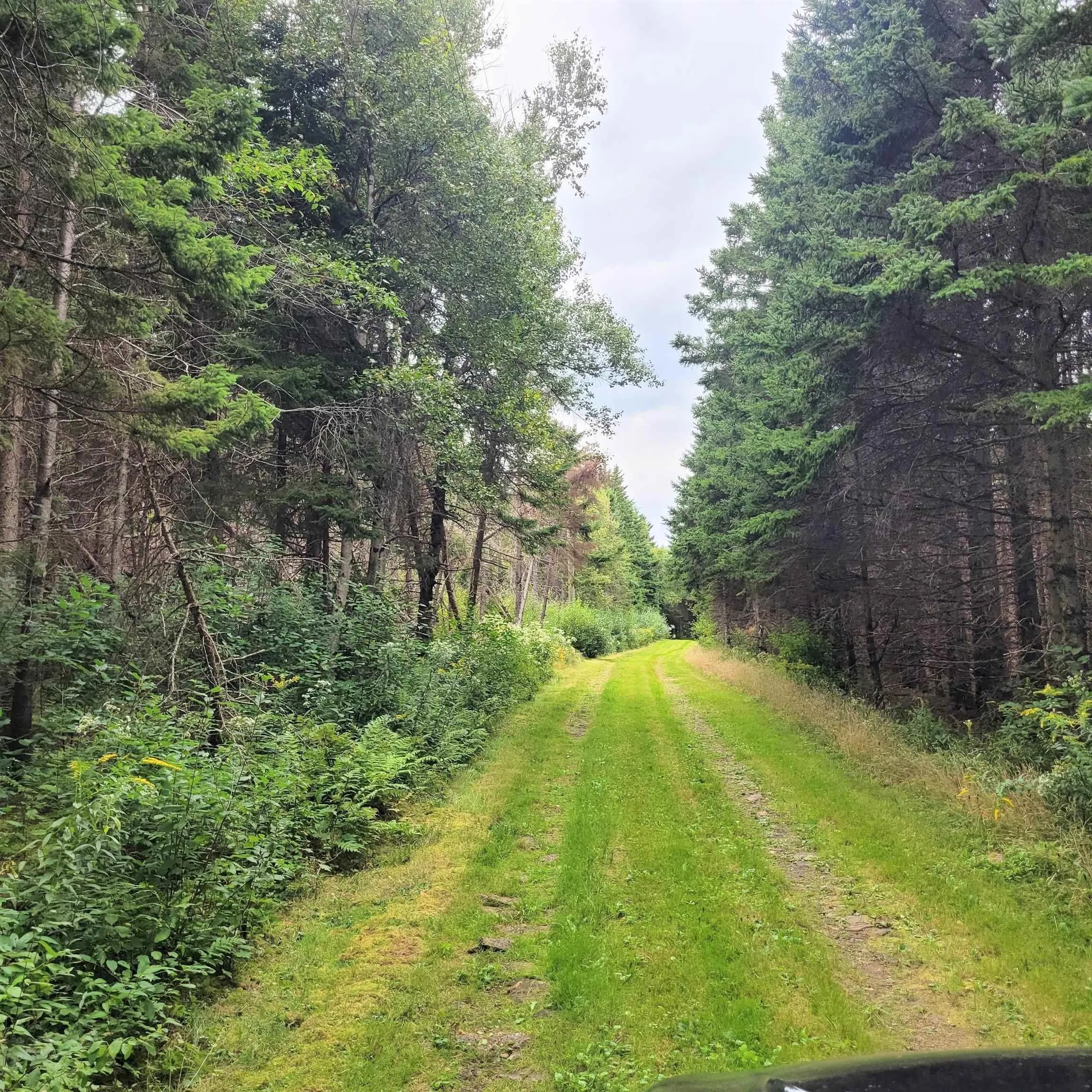 432 Stewart Road, Pugwash River, NS B0K 1L0, 2 Bedrooms Bedrooms, ,1 BathroomBathrooms,Residential,For Sale,Stewart,202510897