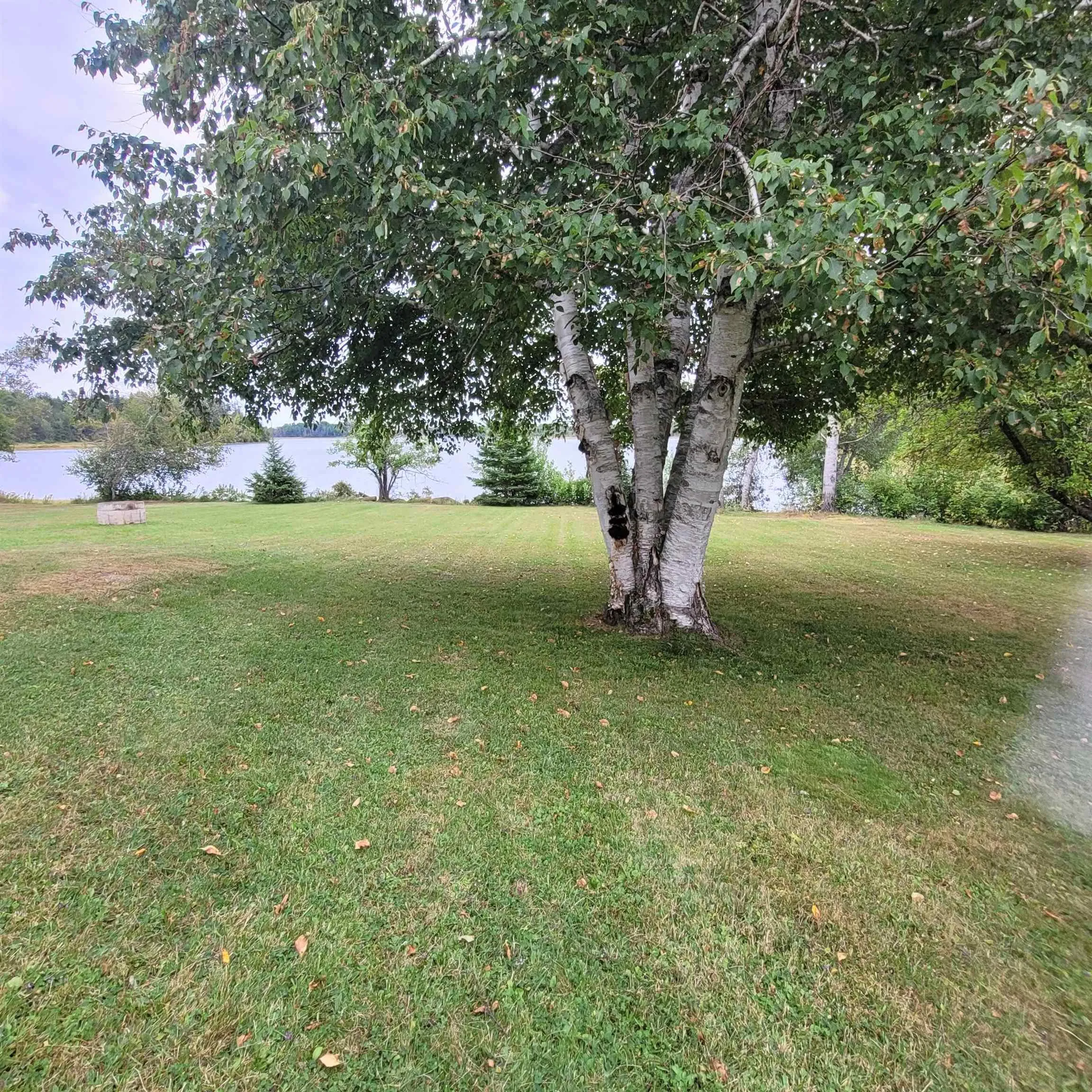 432 Stewart Road, Pugwash River, NS B0K 1L0, 2 Bedrooms Bedrooms, ,1 BathroomBathrooms,Residential,For Sale,Stewart,202510897