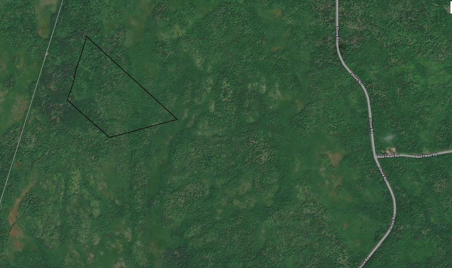 Wilsons Road, Ingomar NS B0T 1H0, ,Land,For Sale,Wilsons,202301231