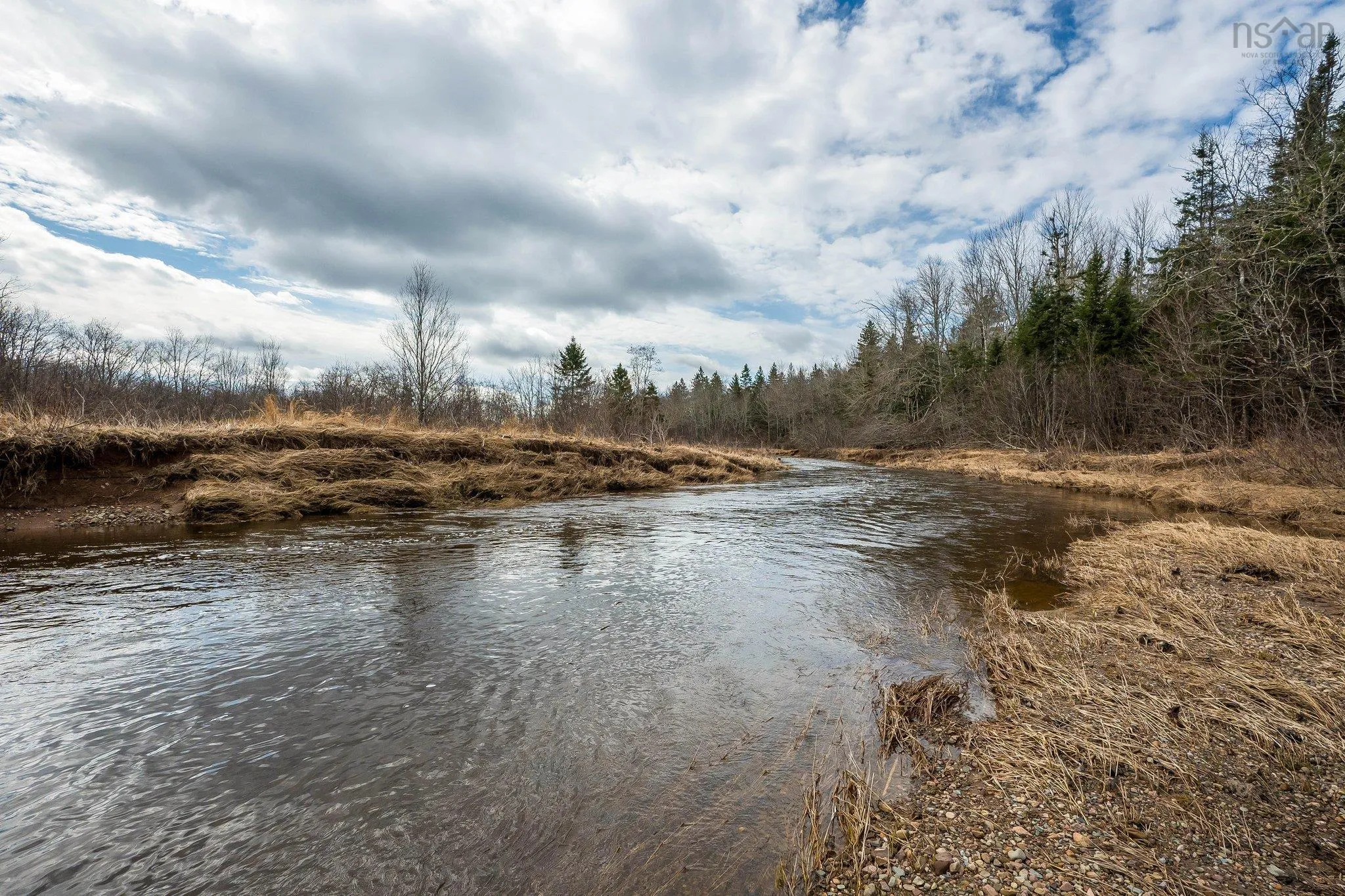 Renfrew Road, Nine Mile River Ns B2s 2w1, ,Land,For Sale,Renfrew,202507271