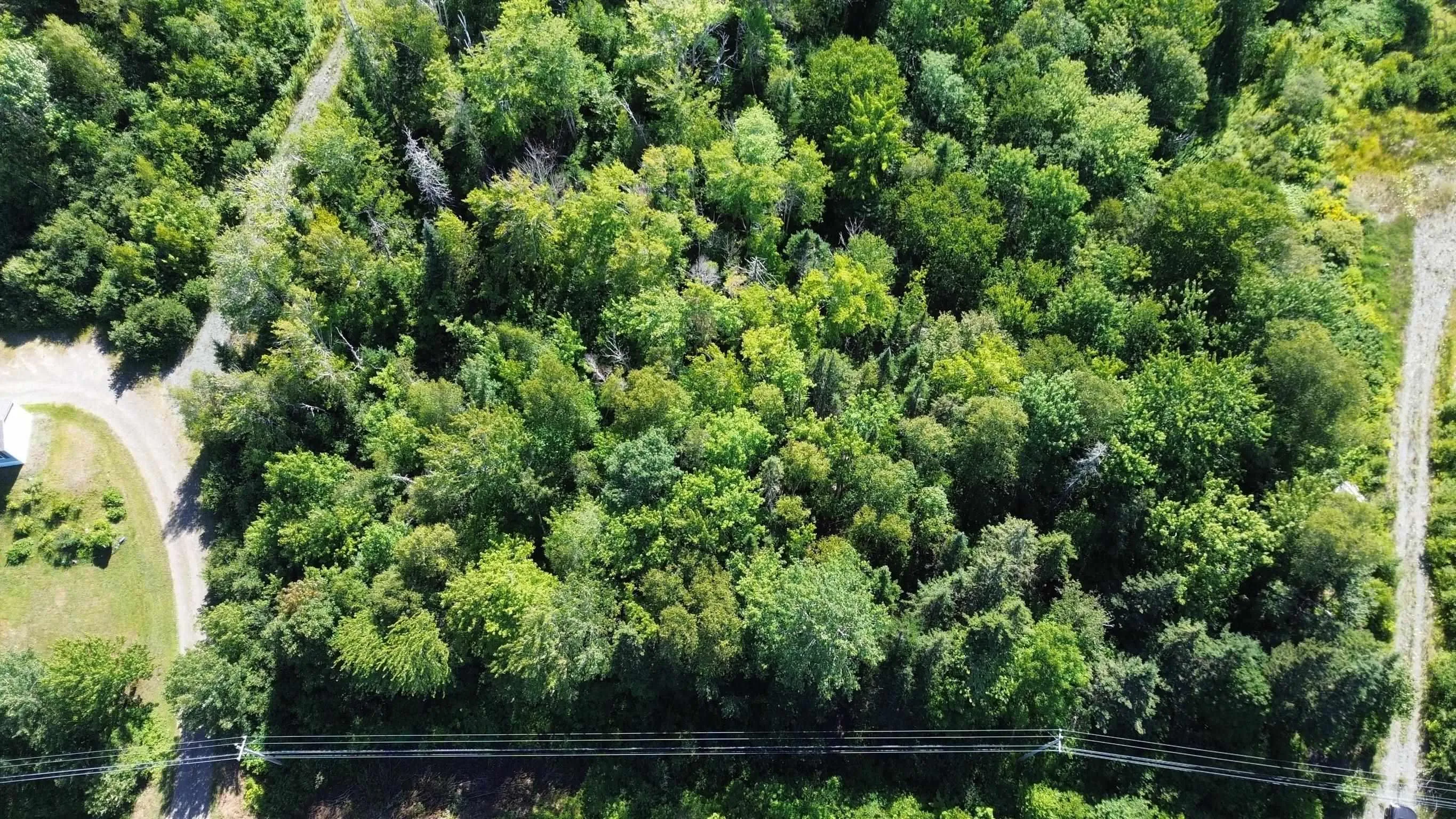 Highway 245, Maryvale, NS B2G 2L1, ,Land,For Sale,Highway 245,202518994