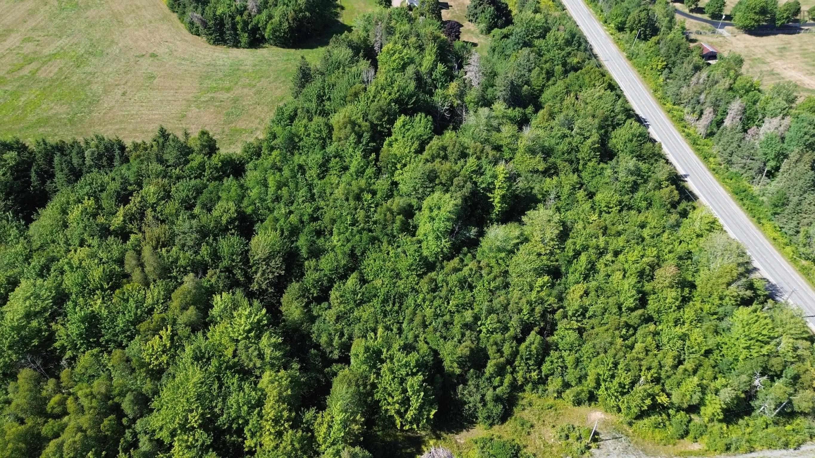 Highway 245, Maryvale, NS B2G 2L1, ,Land,For Sale,Highway 245,202518994