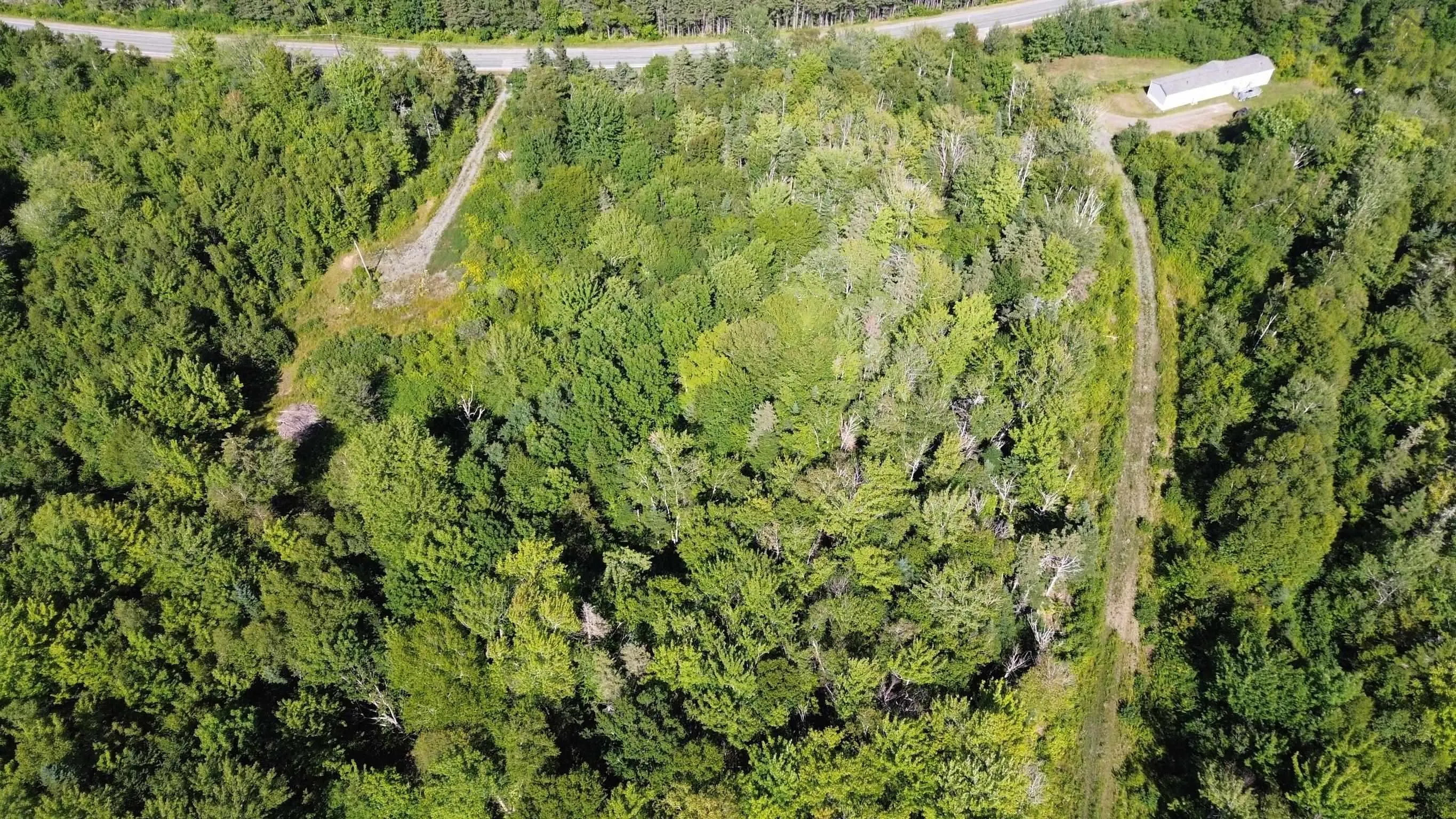 Highway 245, Maryvale, NS B2G 2L1, ,Land,For Sale,Highway 245,202518994