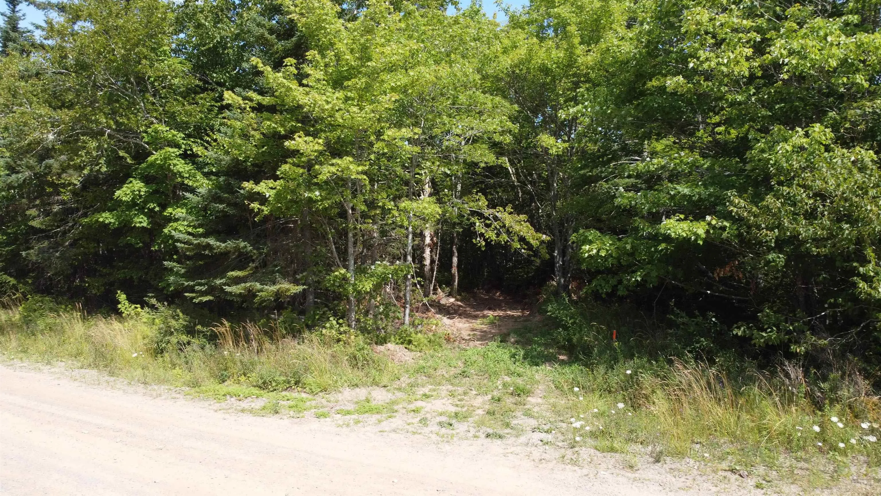Lot 4 Calabash Road, Boularderie East, NS B1X 1K1, ,Land,For Sale,Calabash,202520068