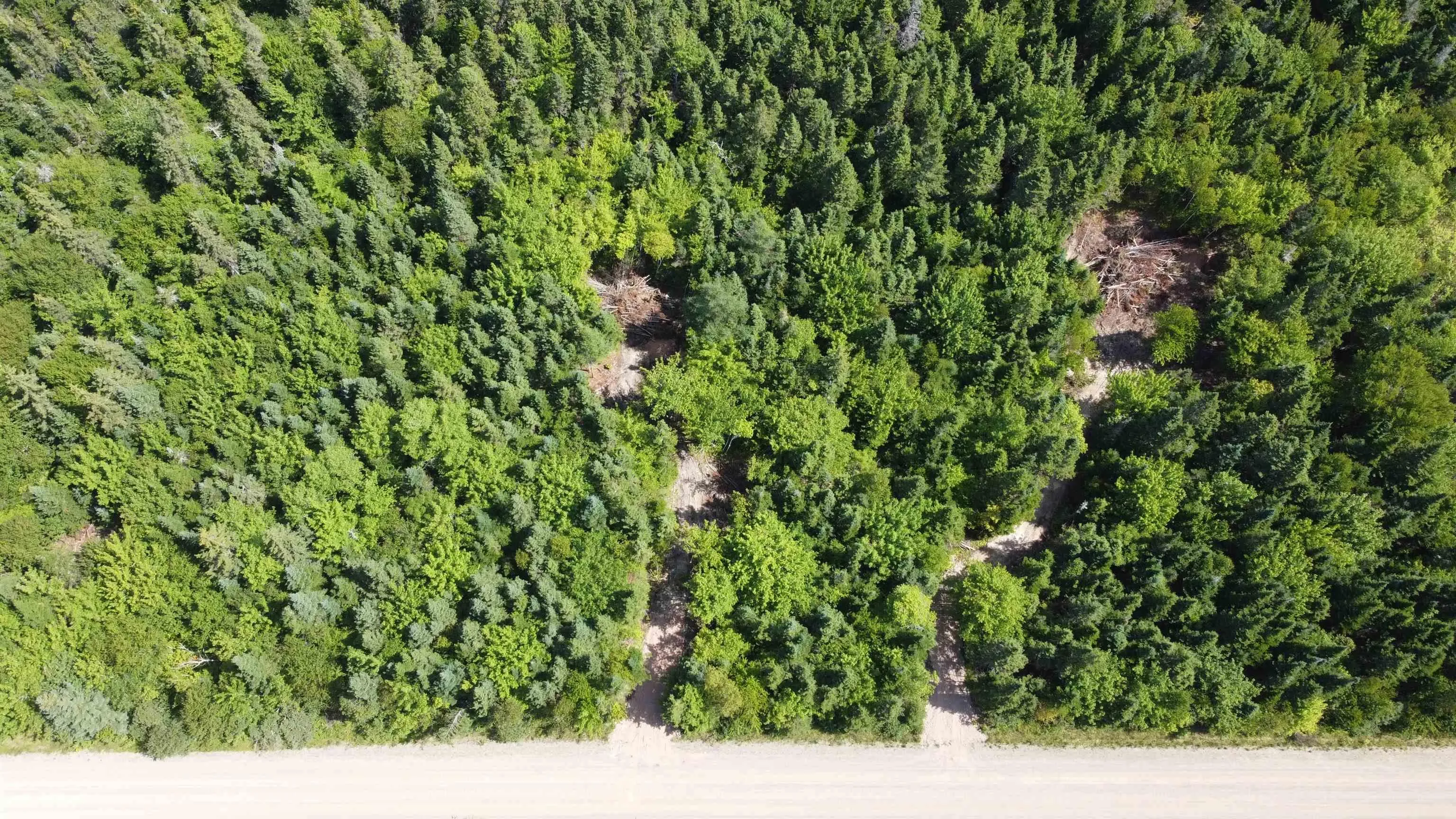 Lot 4 Calabash Road, Boularderie East, NS B1X 1K1, ,Land,For Sale,Calabash,202520068