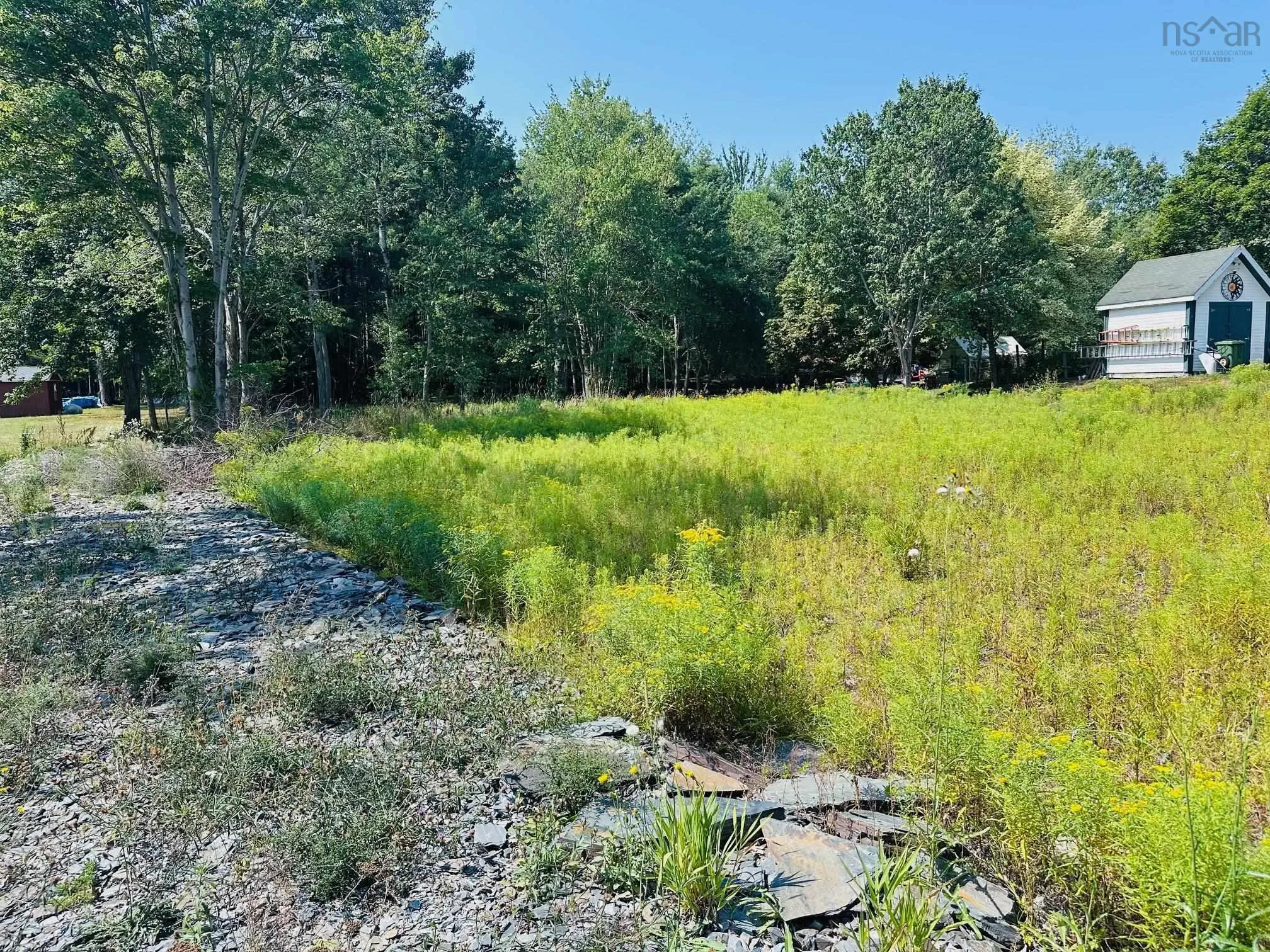 23 Orphans Home Road, Oakhill, NS B4V 0E1, ,Land,For Sale,Orphans Home,202520345