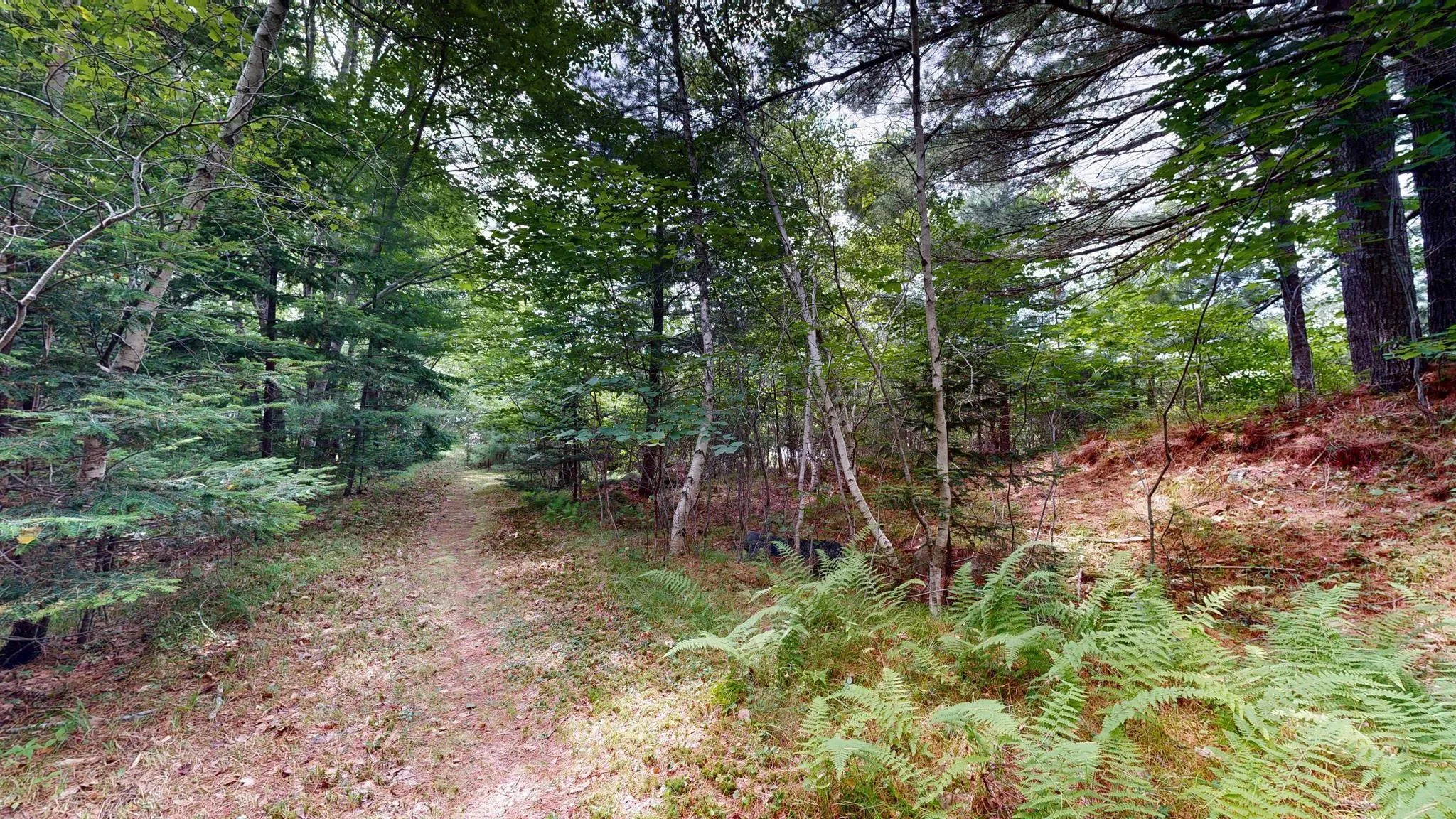 523 Mill Village East Road, Charleston, NS B0J 2H0, 3 Bedrooms Bedrooms, ,2 BathroomsBathrooms,Residential,For Sale,Mill Village East,202518147