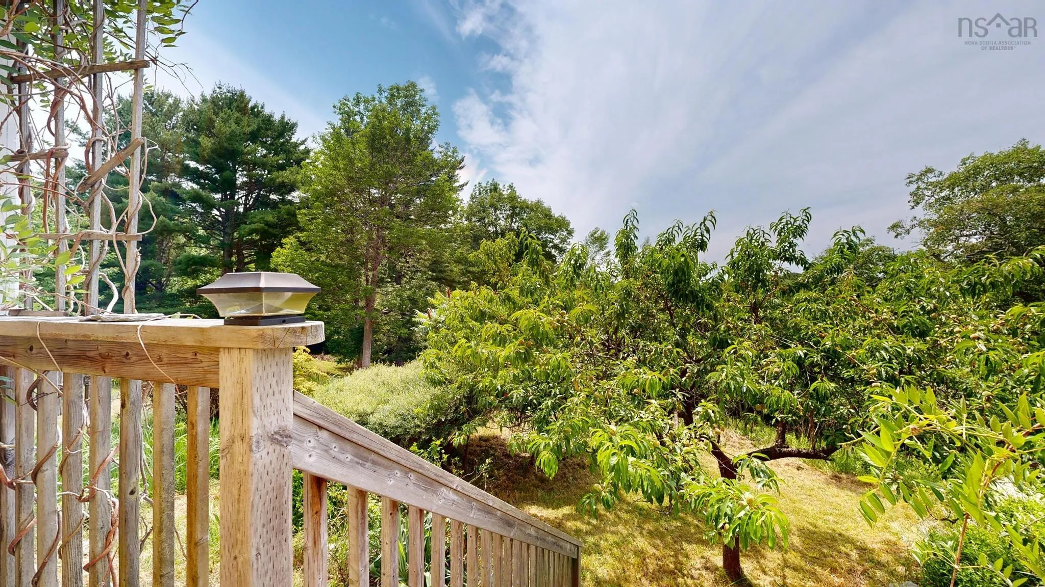 523 Mill Village East Road, Charleston, NS B0J 2H0, 3 Bedrooms Bedrooms, ,2 BathroomsBathrooms,Residential,For Sale,Mill Village East,202518147