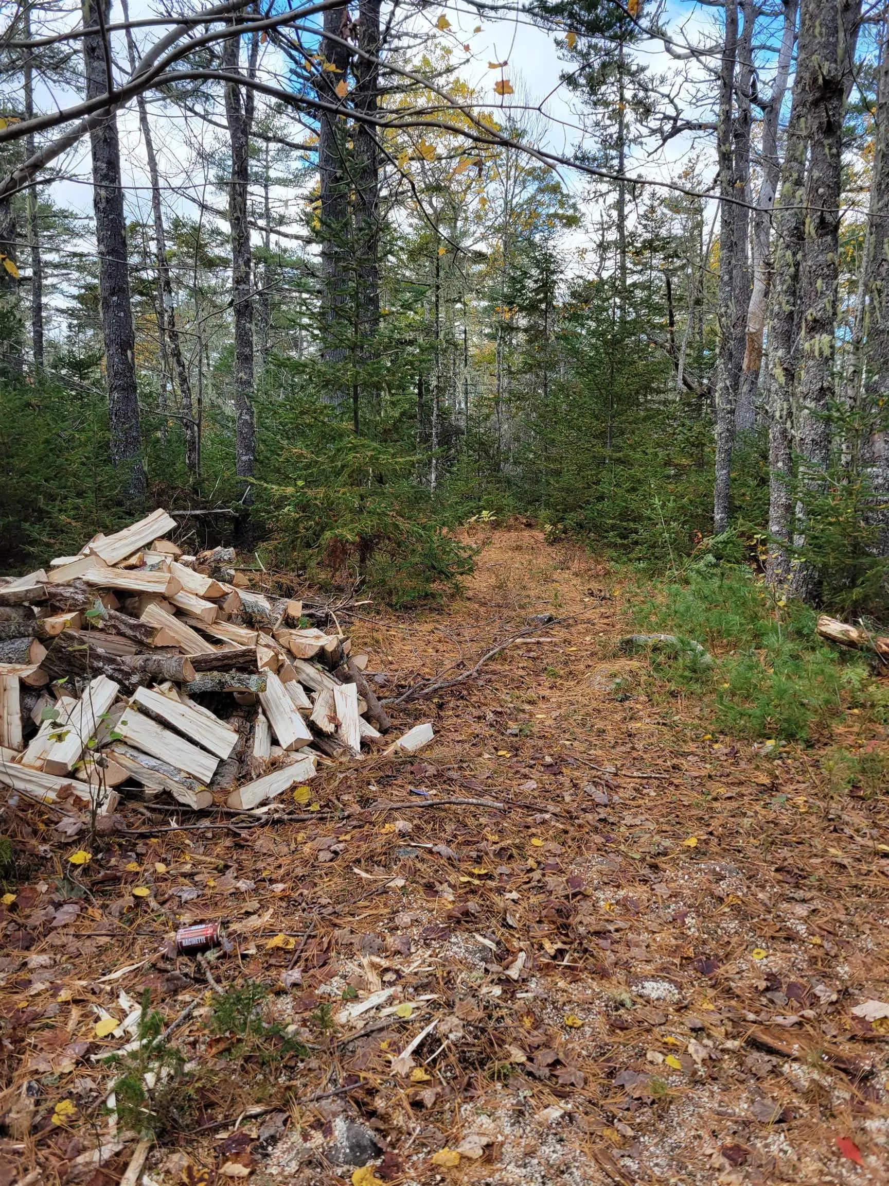 138 Shore Road, Birchtown Ns B0t 1w0, ,Land,For Sale,Shore,202501428