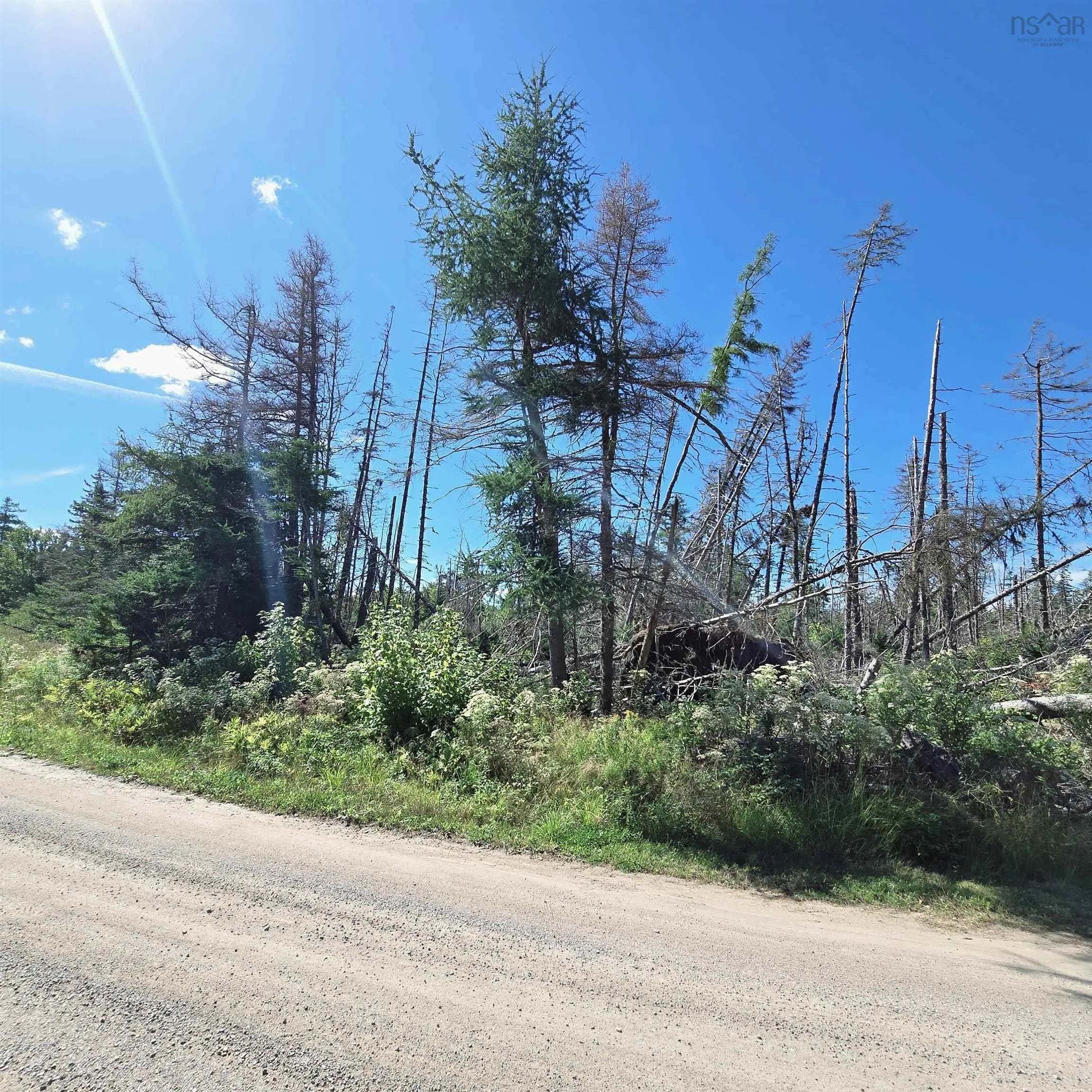0 Brickyard Road, Albert Bridge, NS B1K 2T7, ,Land,For Sale,Brickyard,202522191