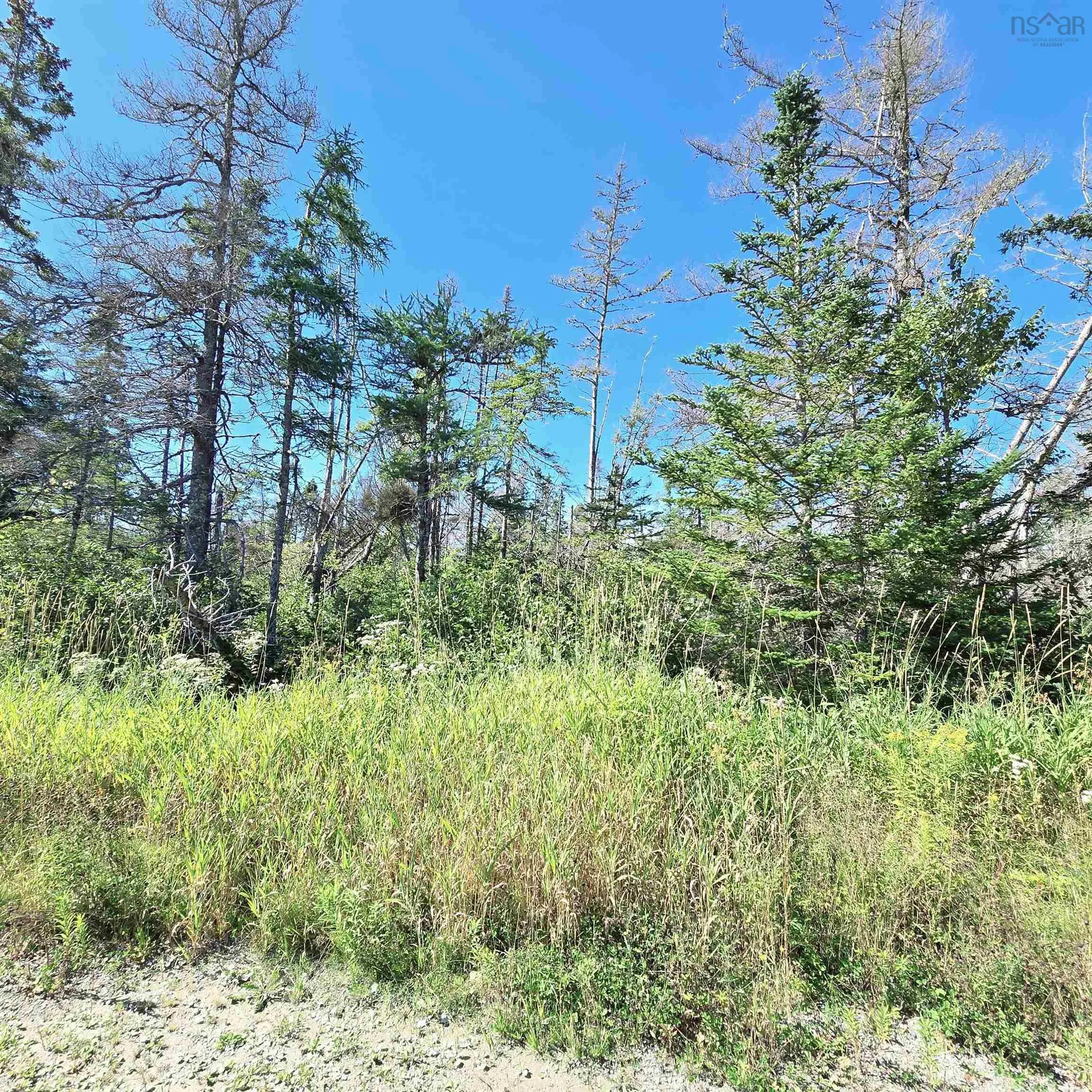 0 Brickyard Road, Albert Bridge, NS B1K 2T7, ,Land,For Sale,Brickyard,202522191